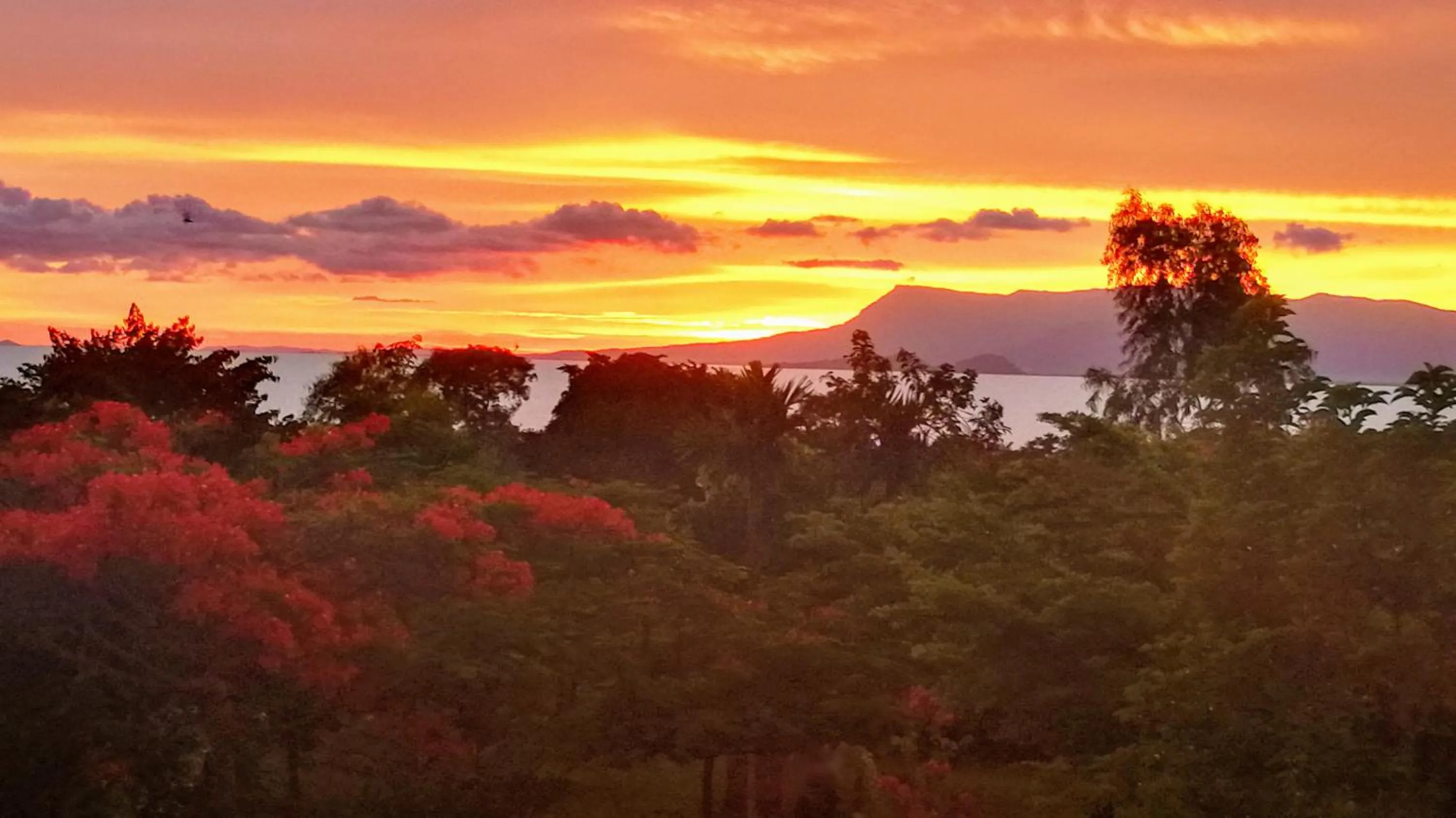 Patio in Q Bungalows