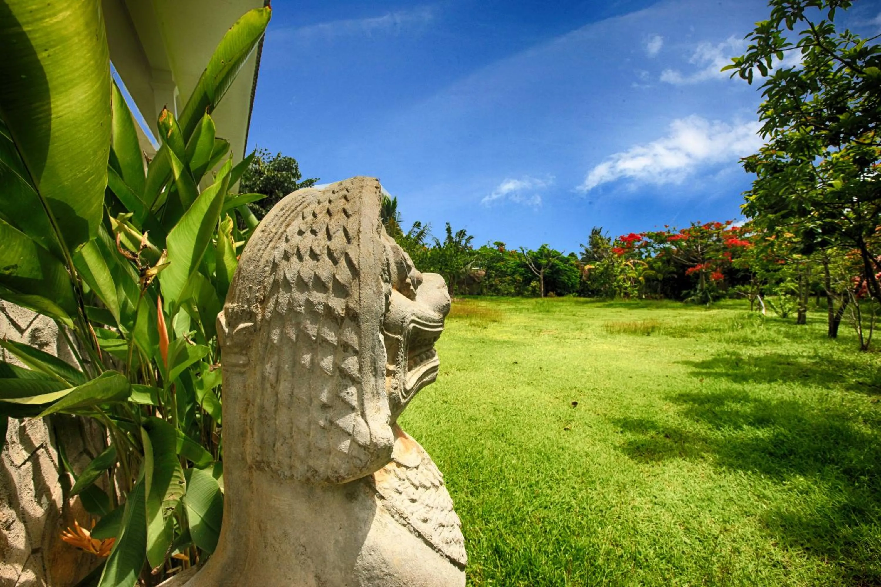 Garden in Q Bungalows