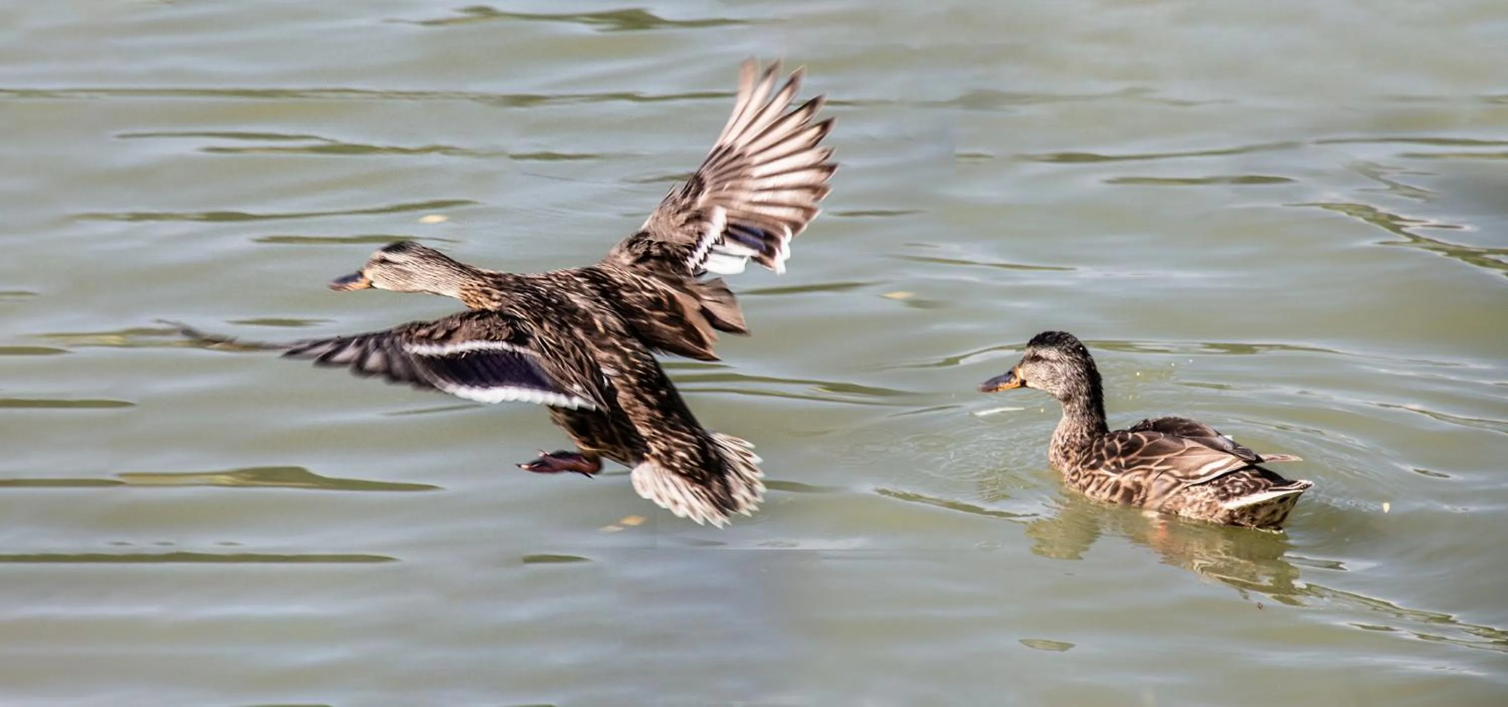 Neighbourhood in Tó Wellness Hotel