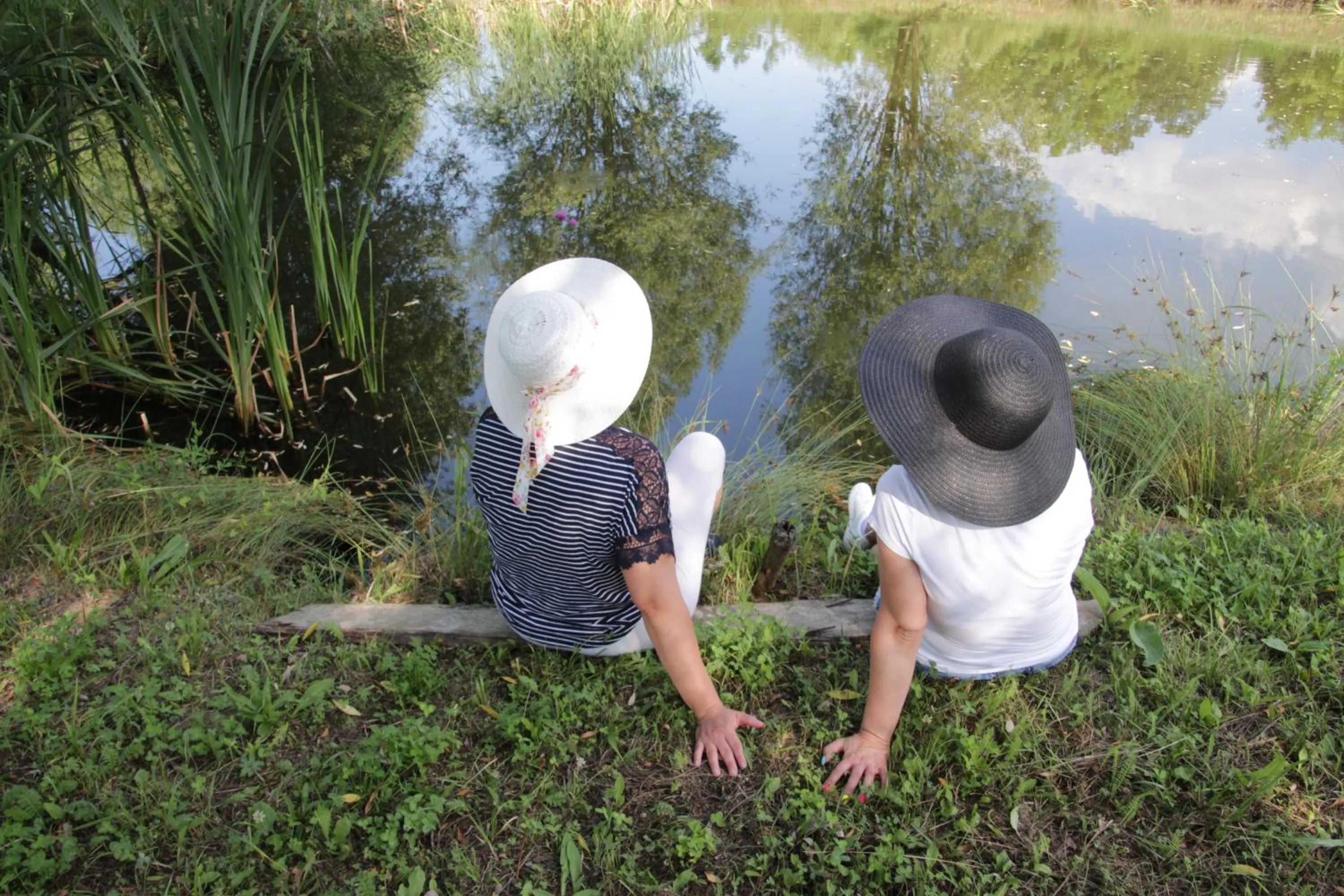 Other in Tó Wellness Hotel