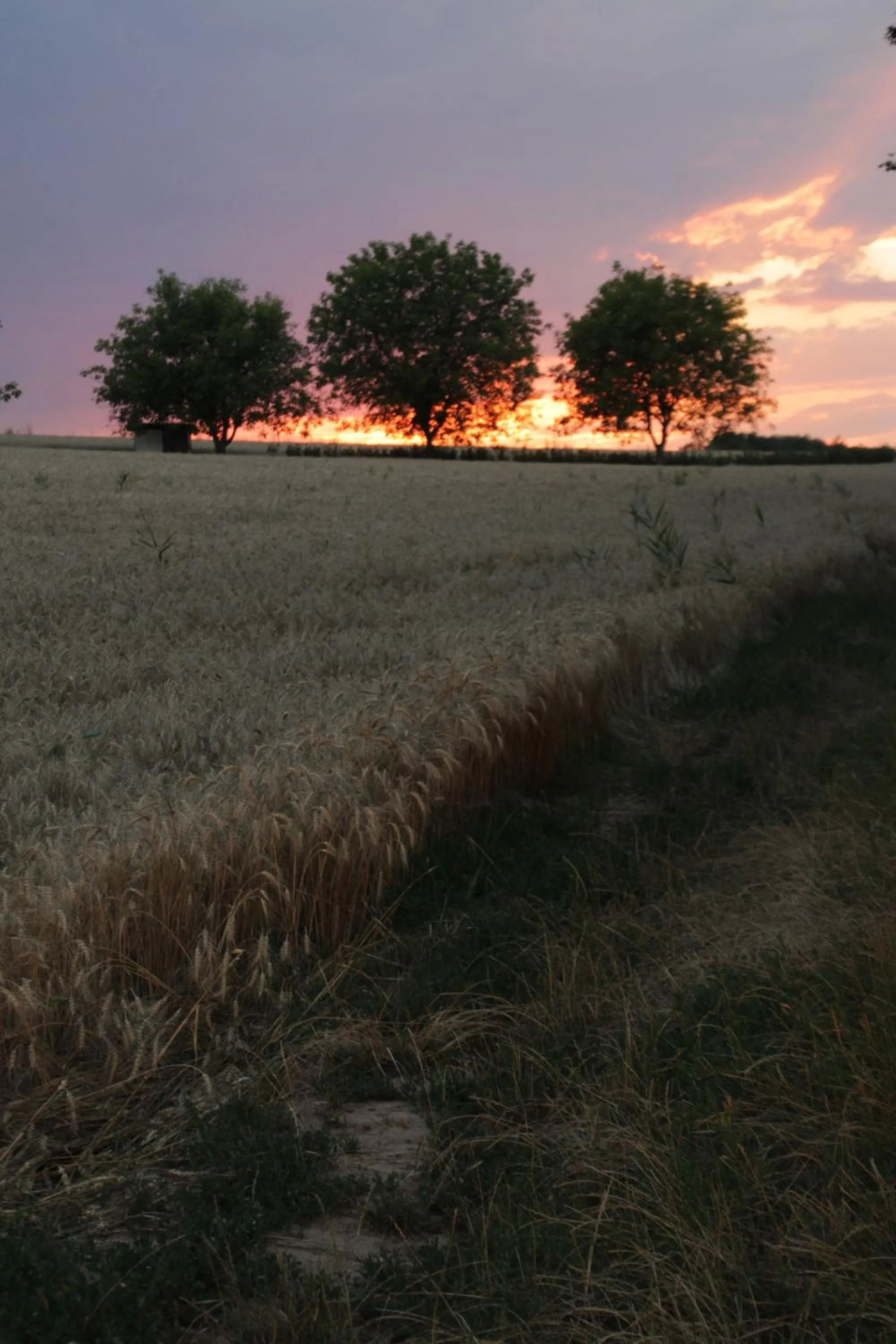 Neighbourhood in Tó Wellness Hotel