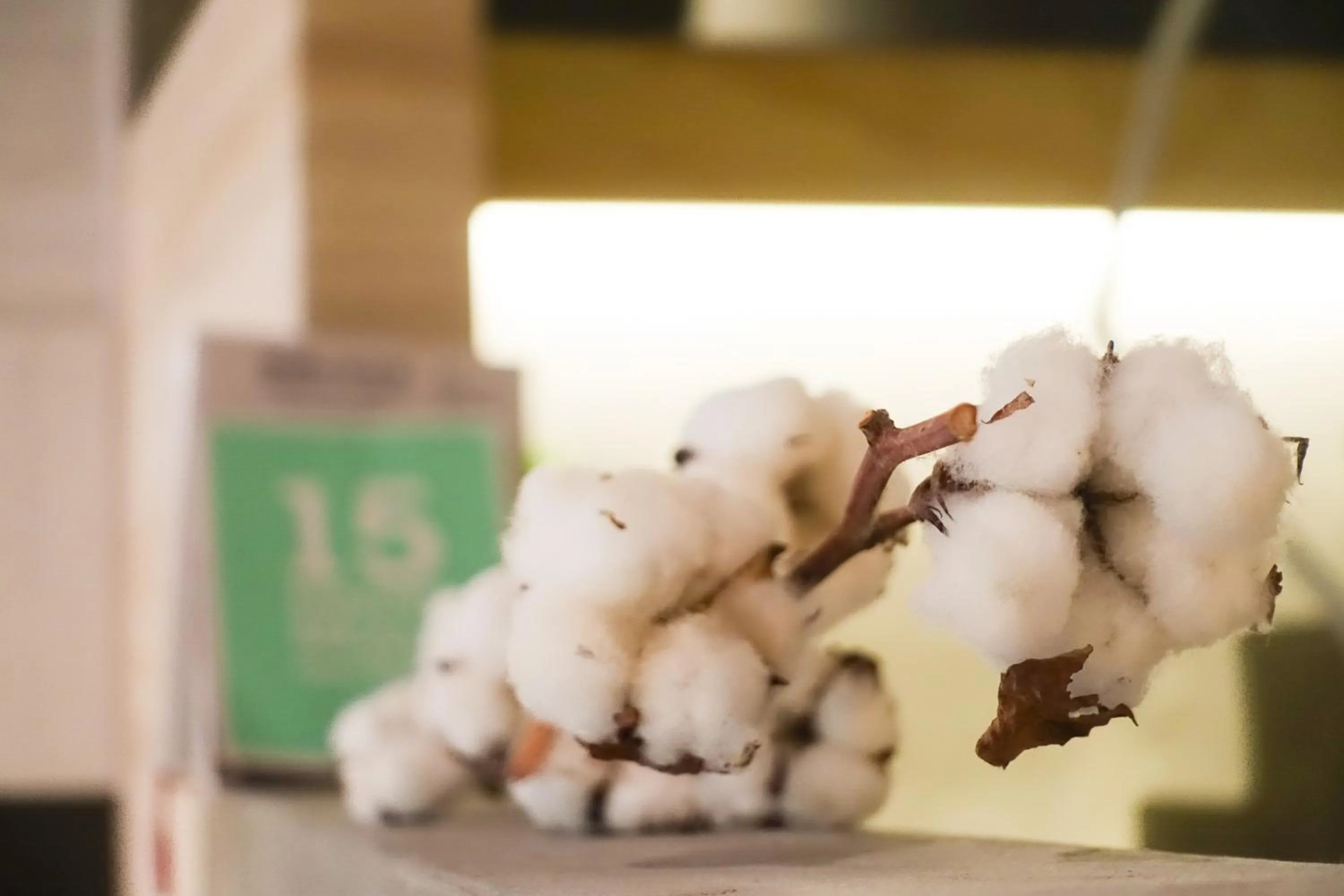 Decorative detail in Shaoguang 188 日月潭勺光188