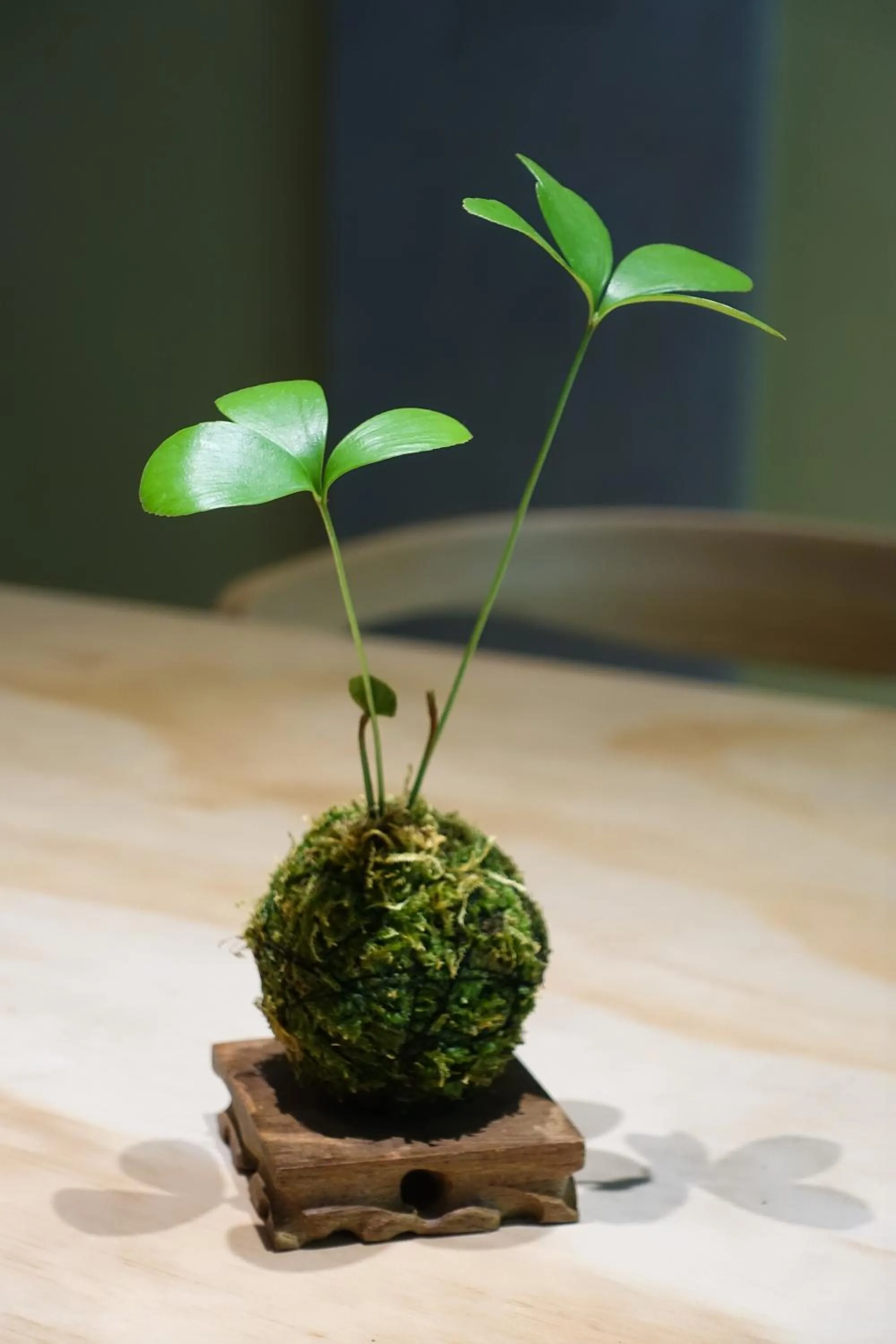 Decorative detail in Shaoguang 188 日月潭勺光188