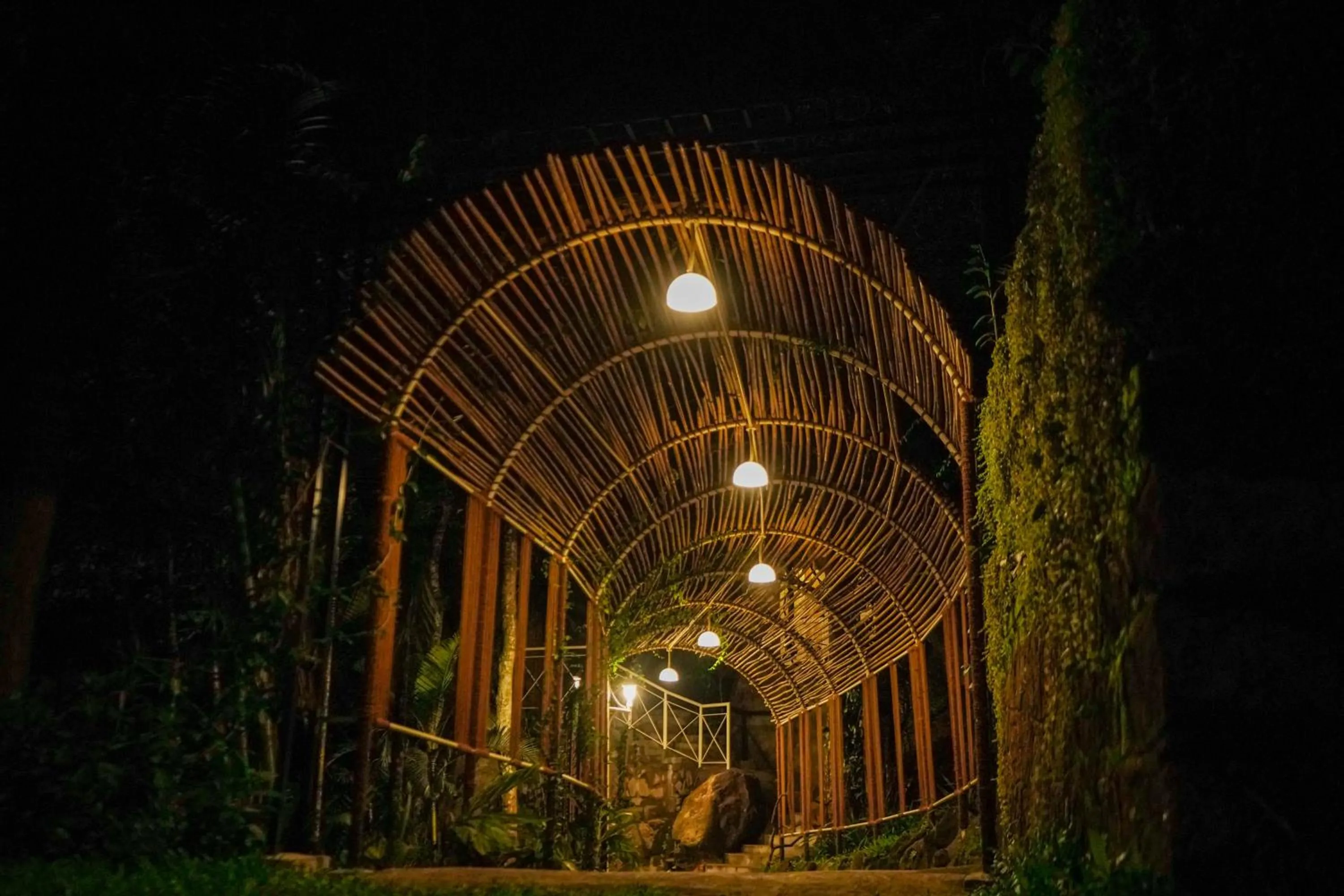 Night in Mount Xanadu Resorts