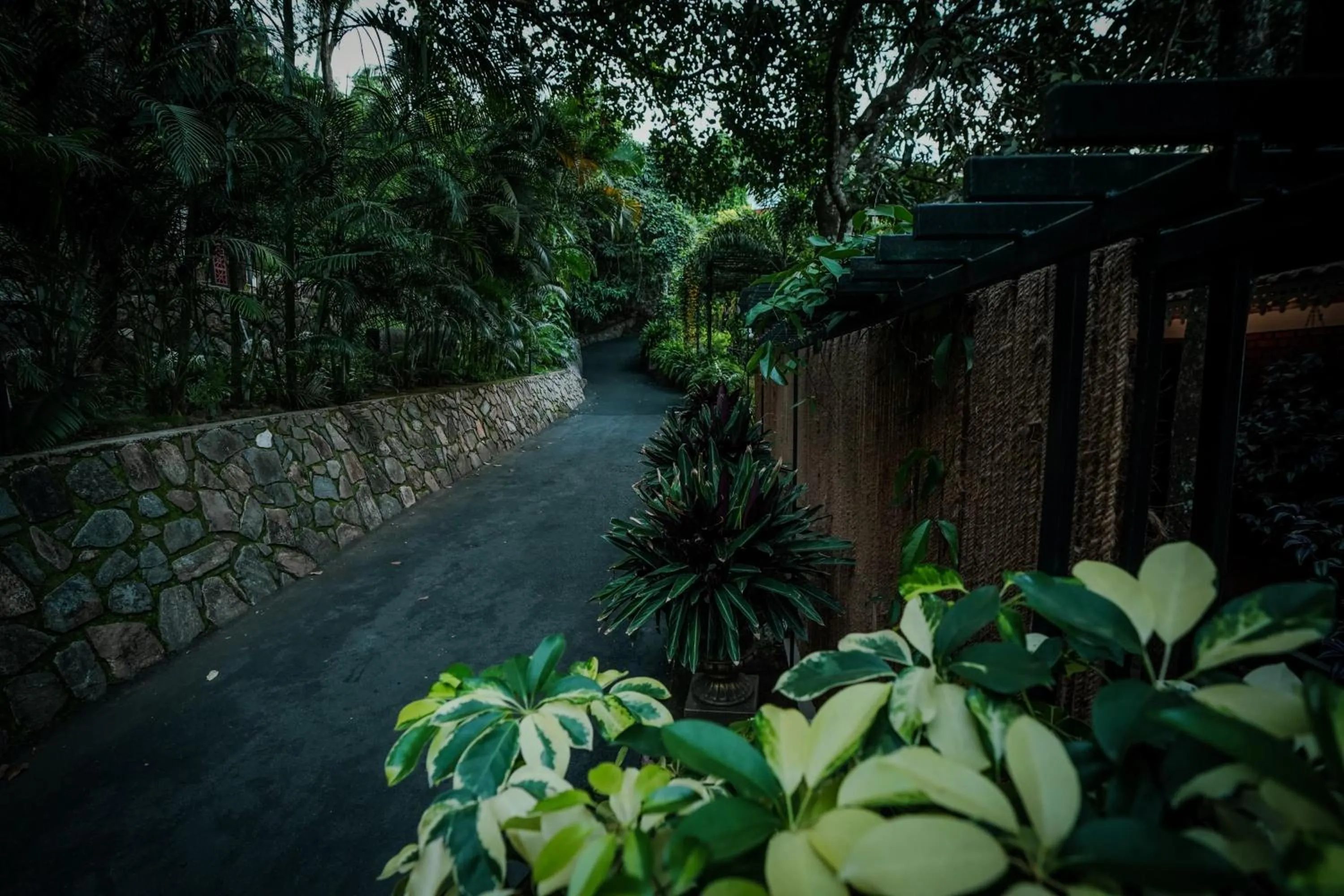 Day in Mount Xanadu Resorts