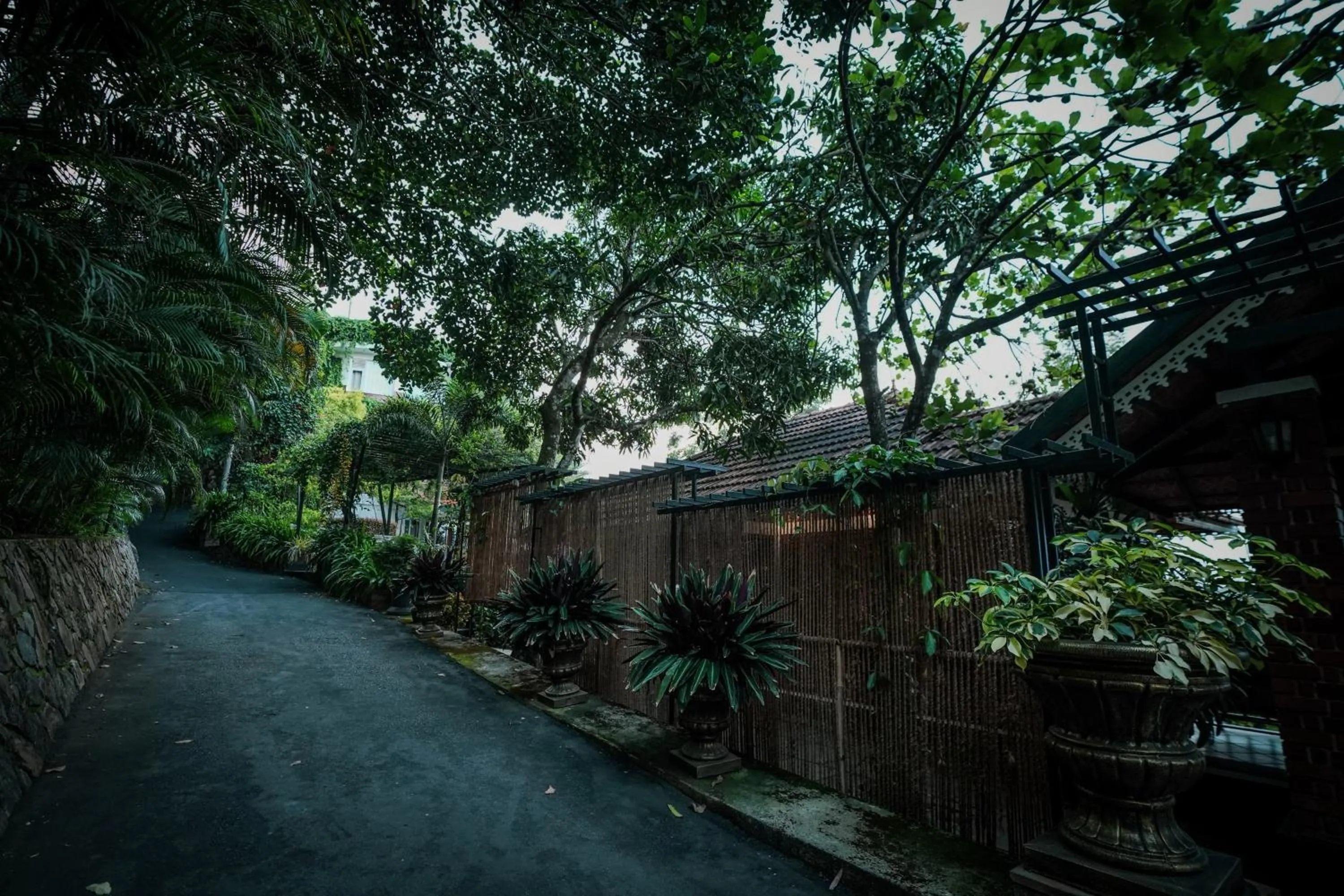 Spring in Mount Xanadu Resorts