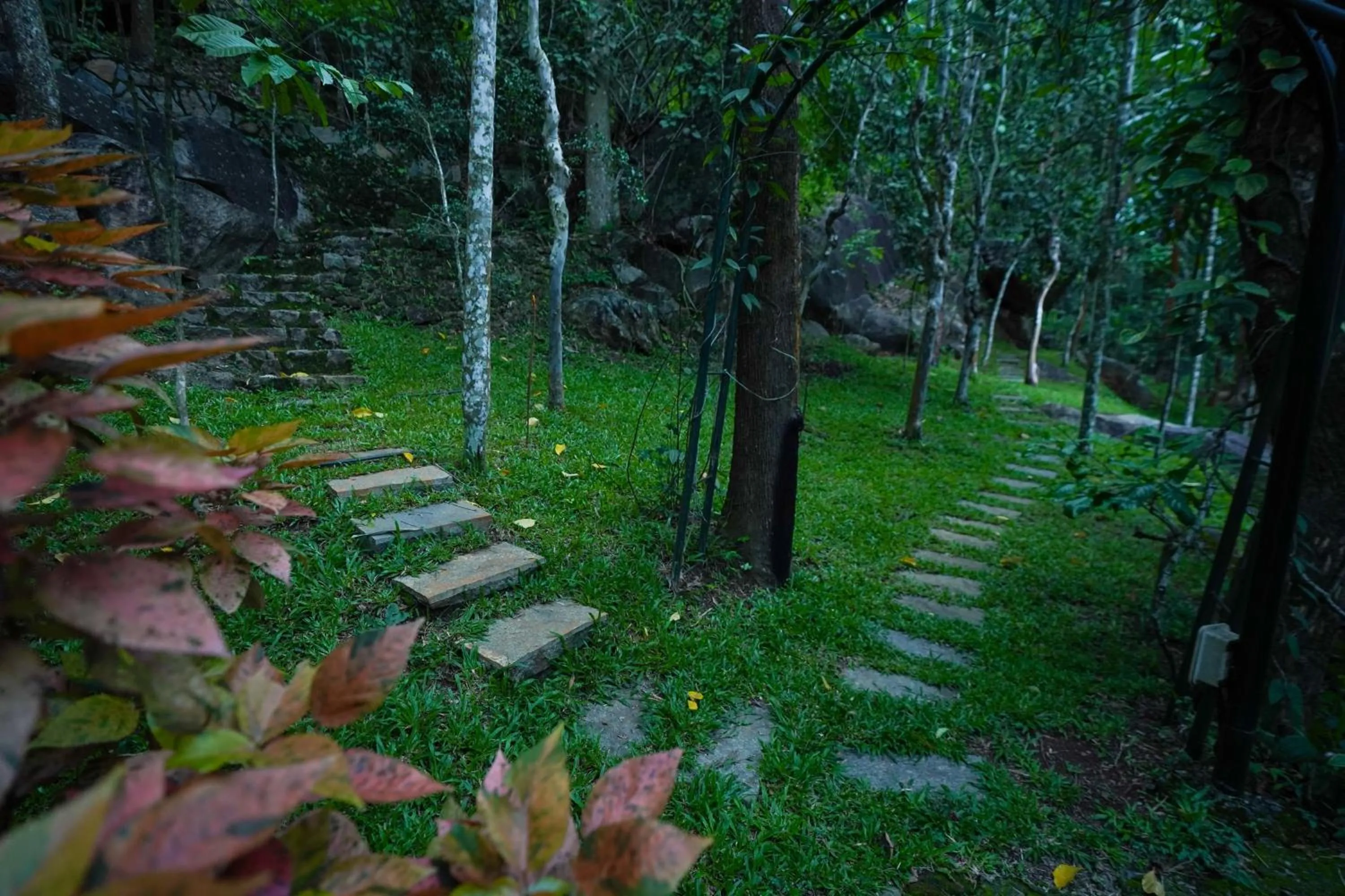 Day in Mount Xanadu Resorts