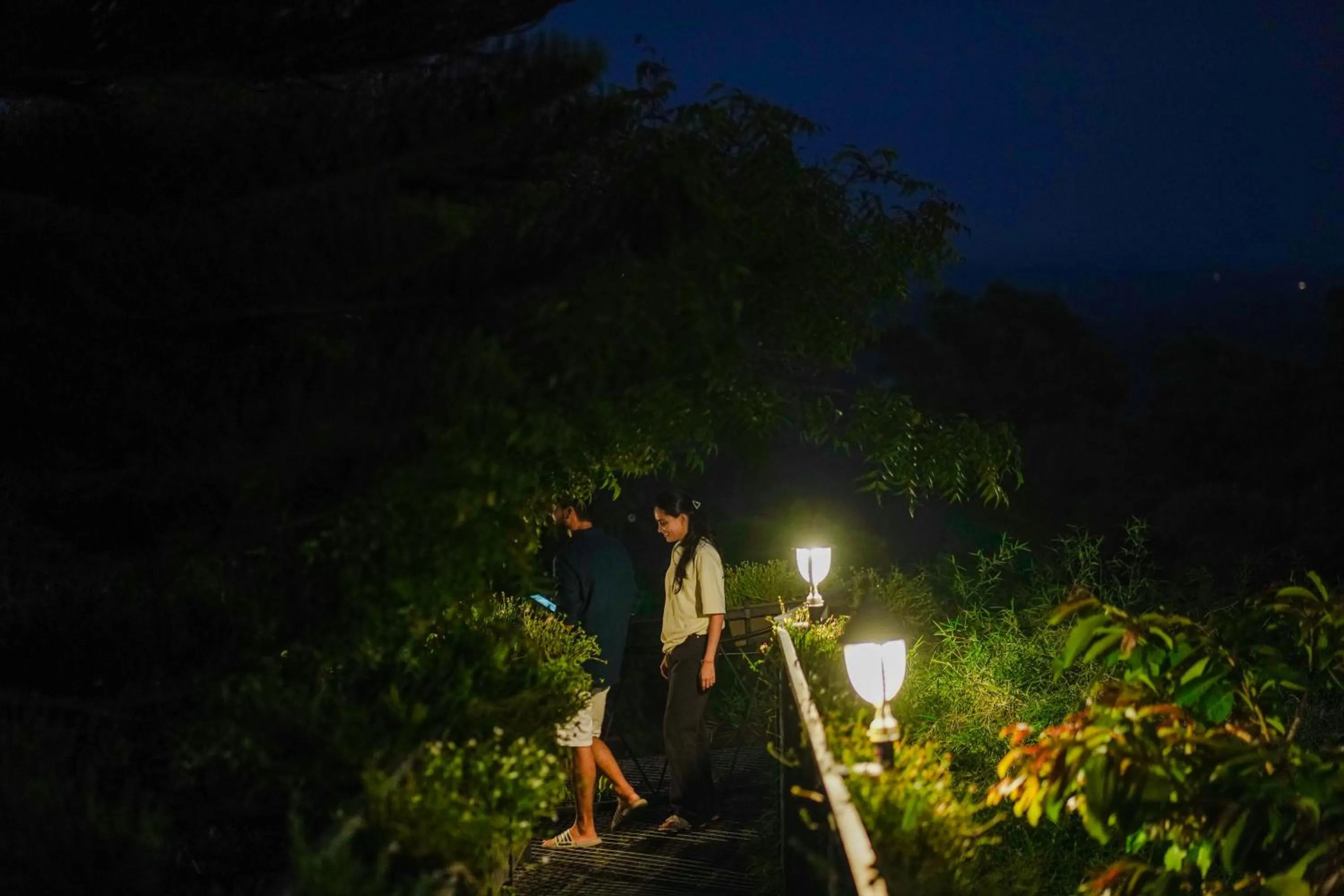 Night in Mount Xanadu Resorts