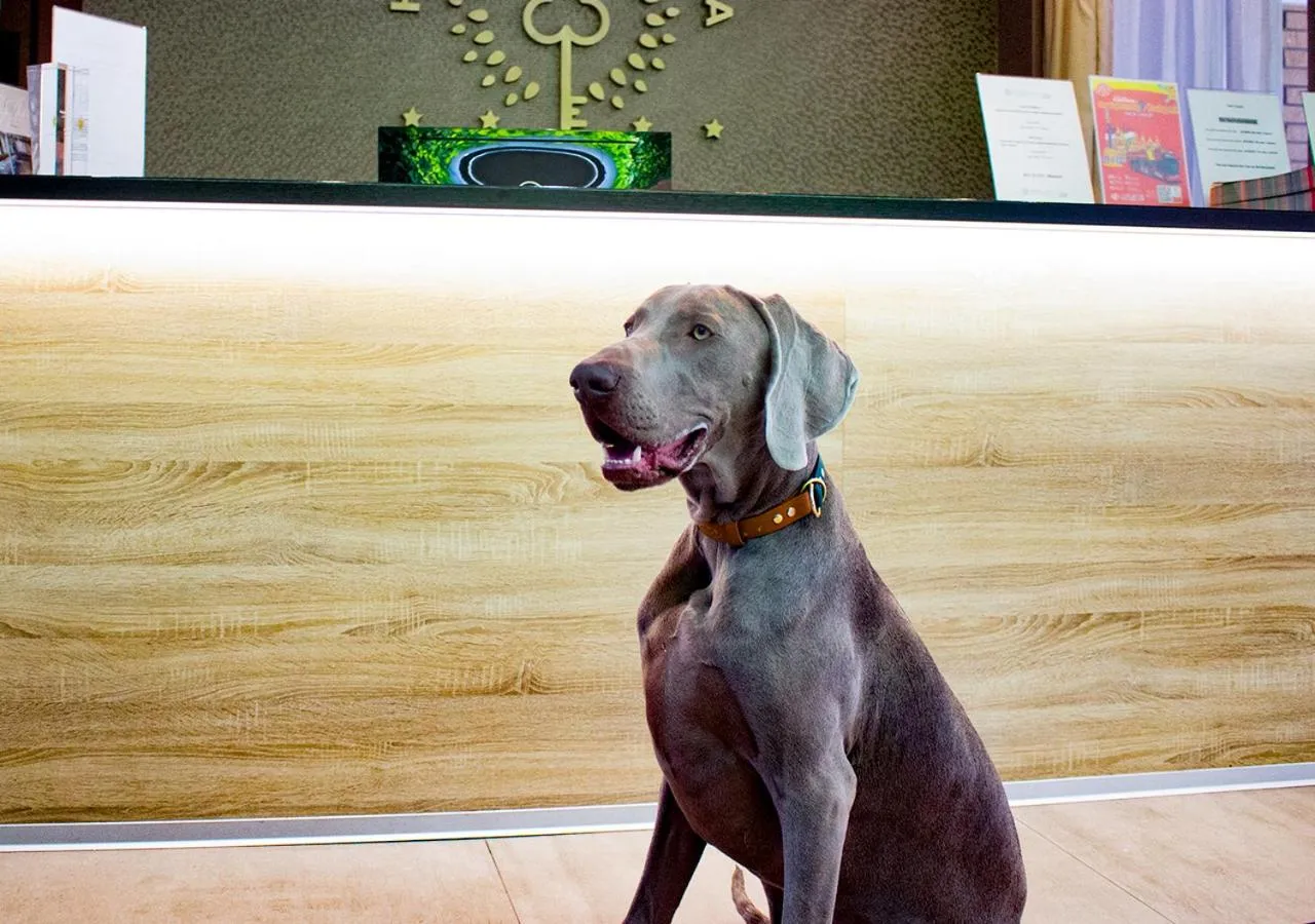 Pets in The Hotel Unforgettable - Hotel Tiliana by Homoky Hotels & Spa