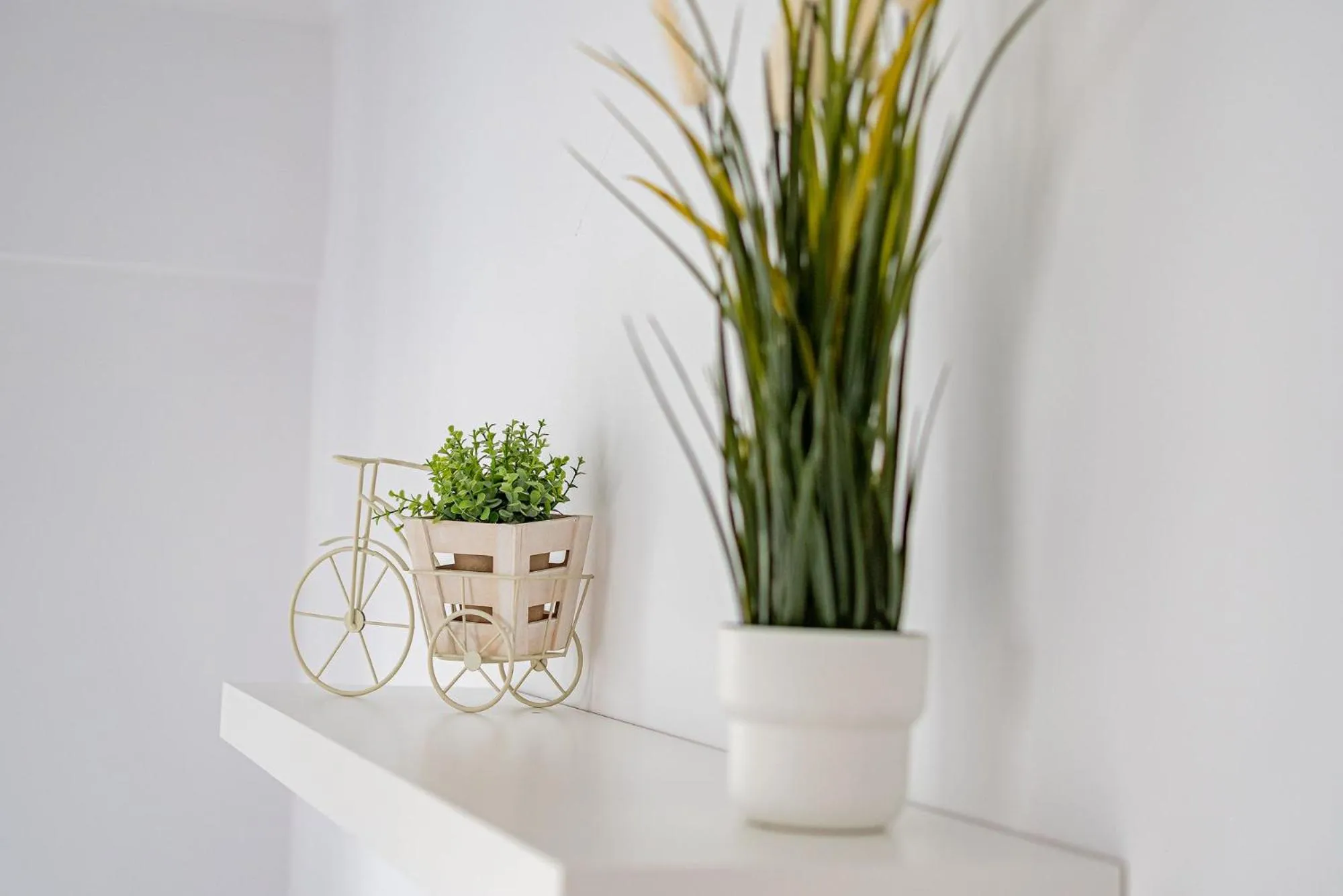 Decorative detail in Lujerului Studio