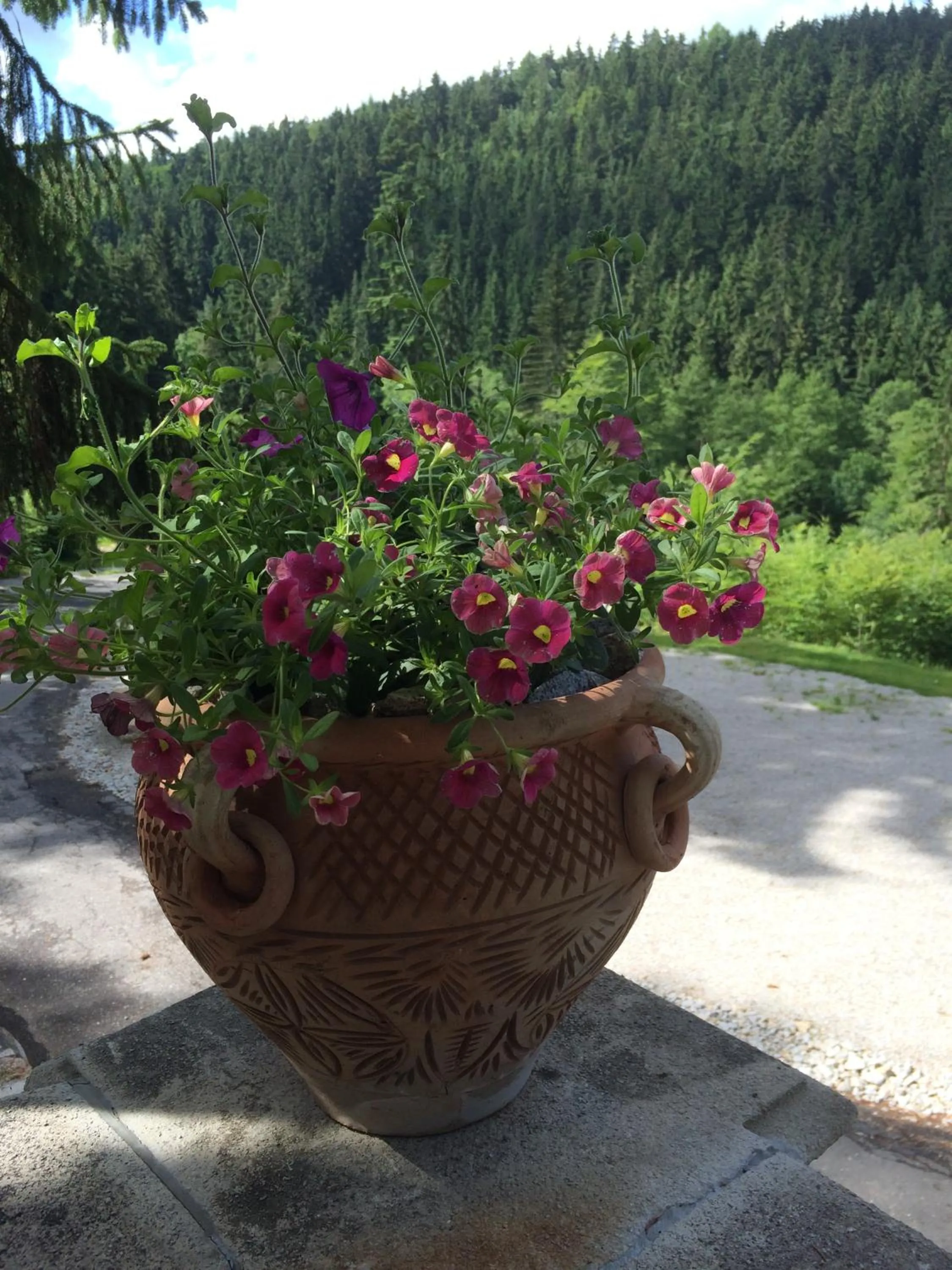 Hunting Lodge Vitkov