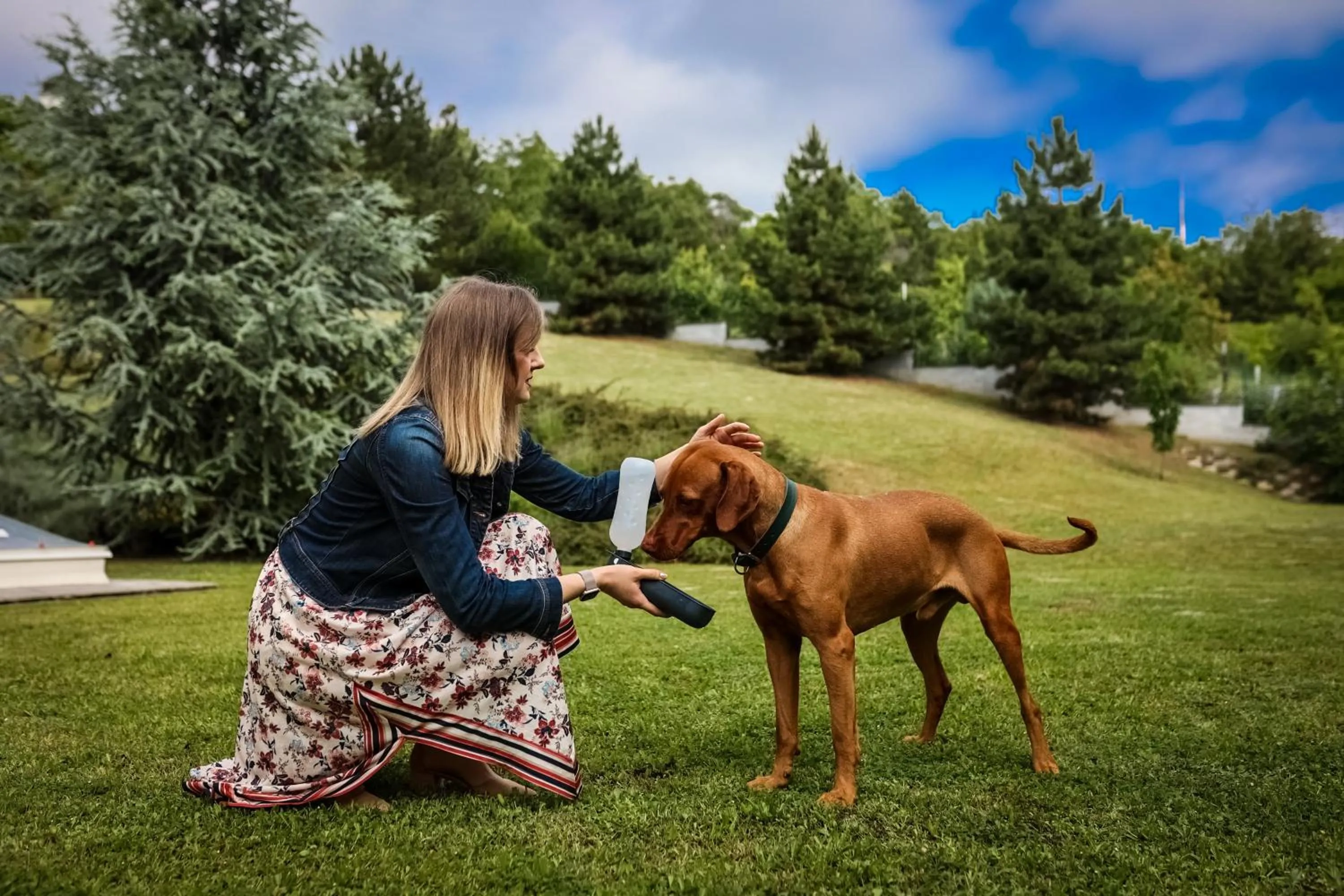 Pets in Sándor Hotel