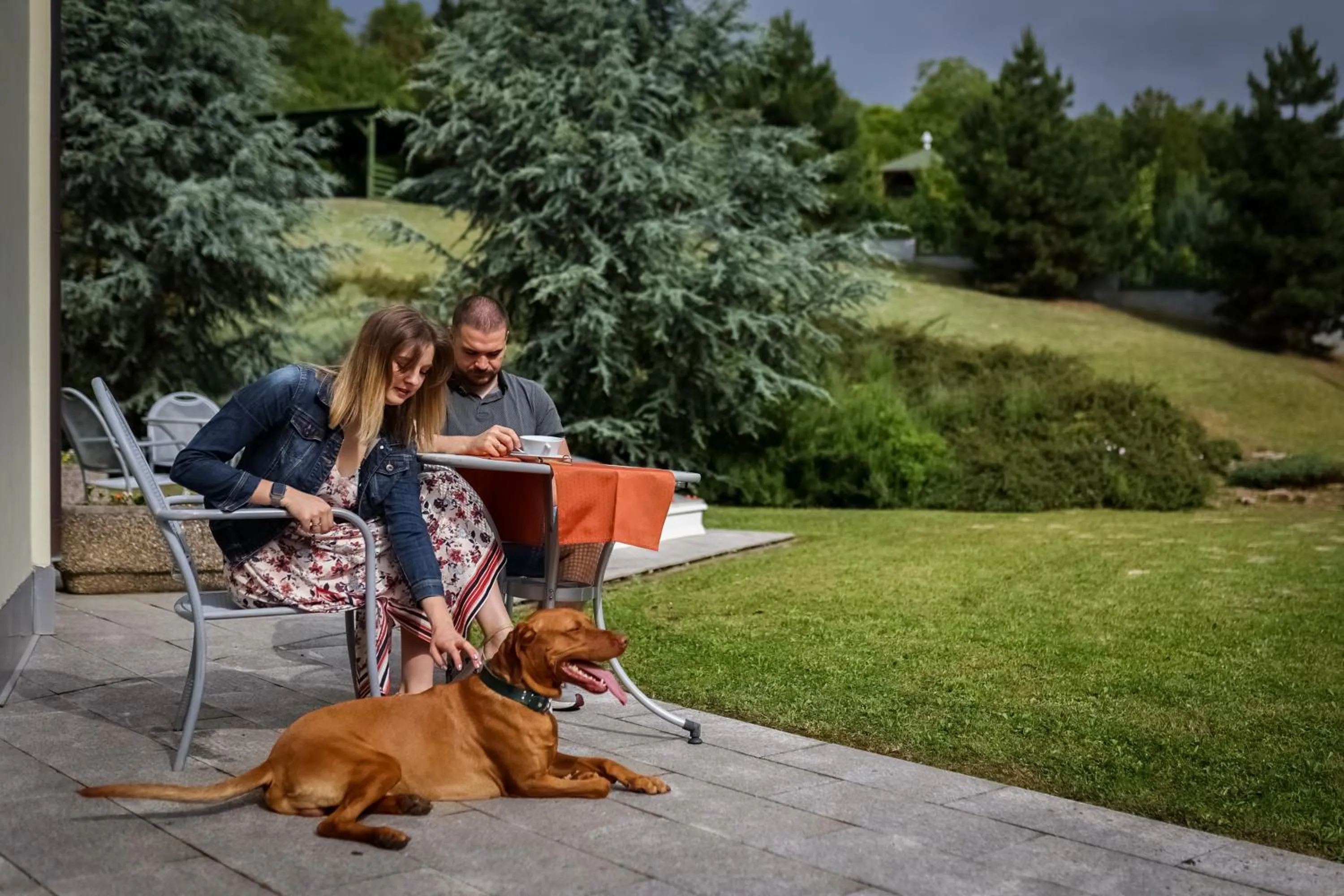 Pets in Sándor Hotel