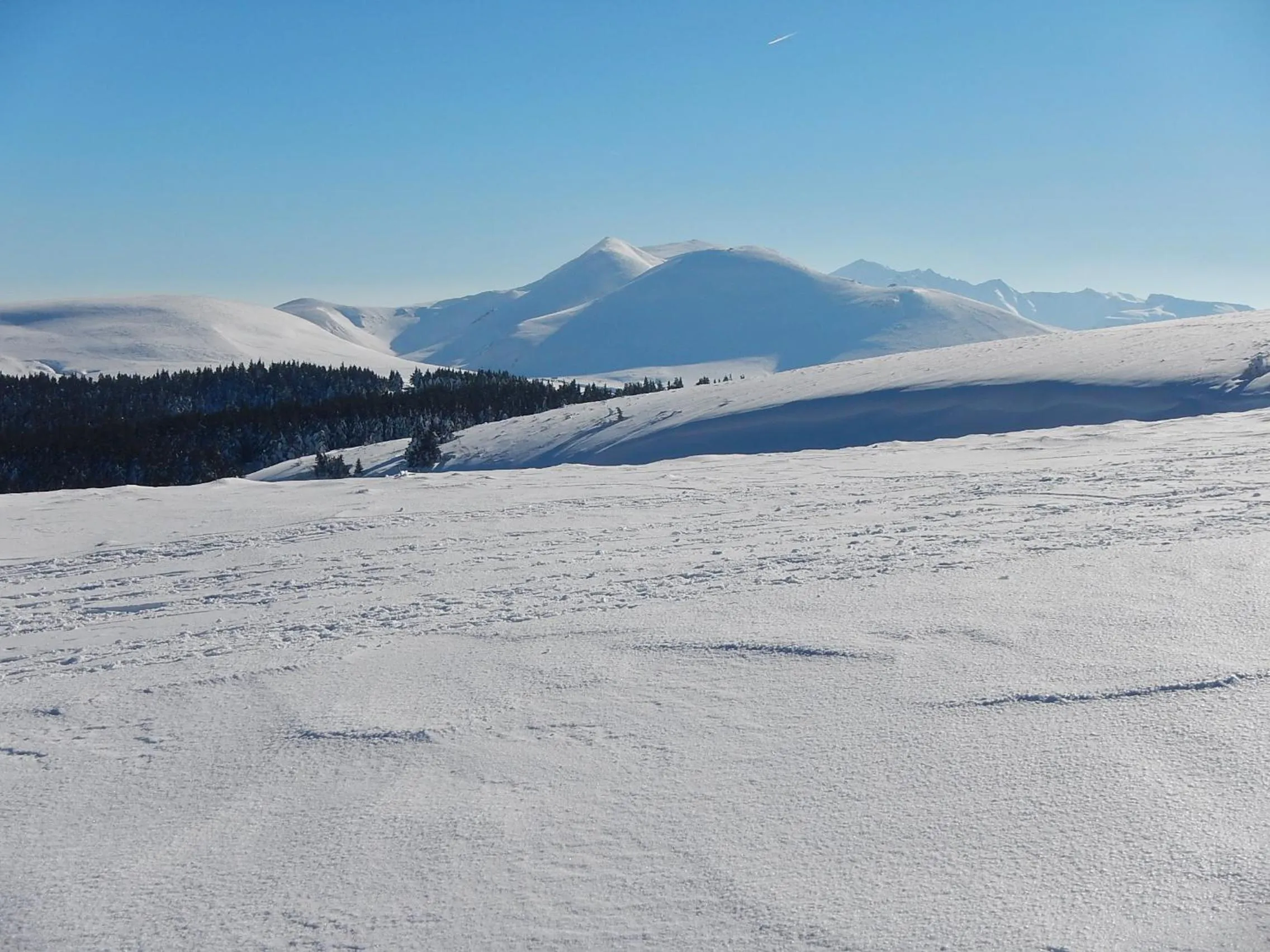 Fishing in chambre chez mamie do