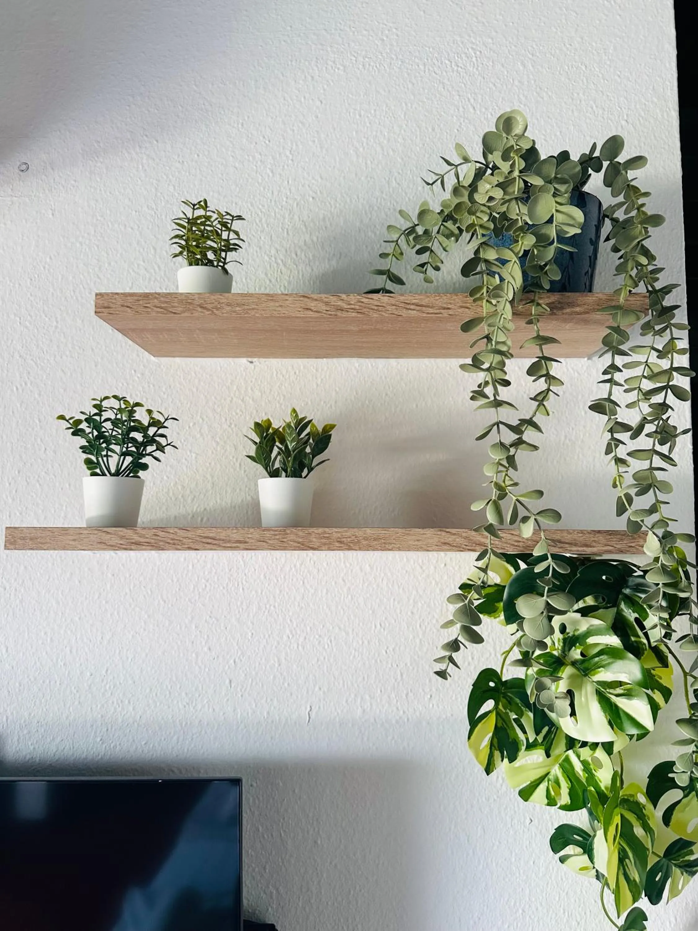 Decorative detail in Hotel Amadeus