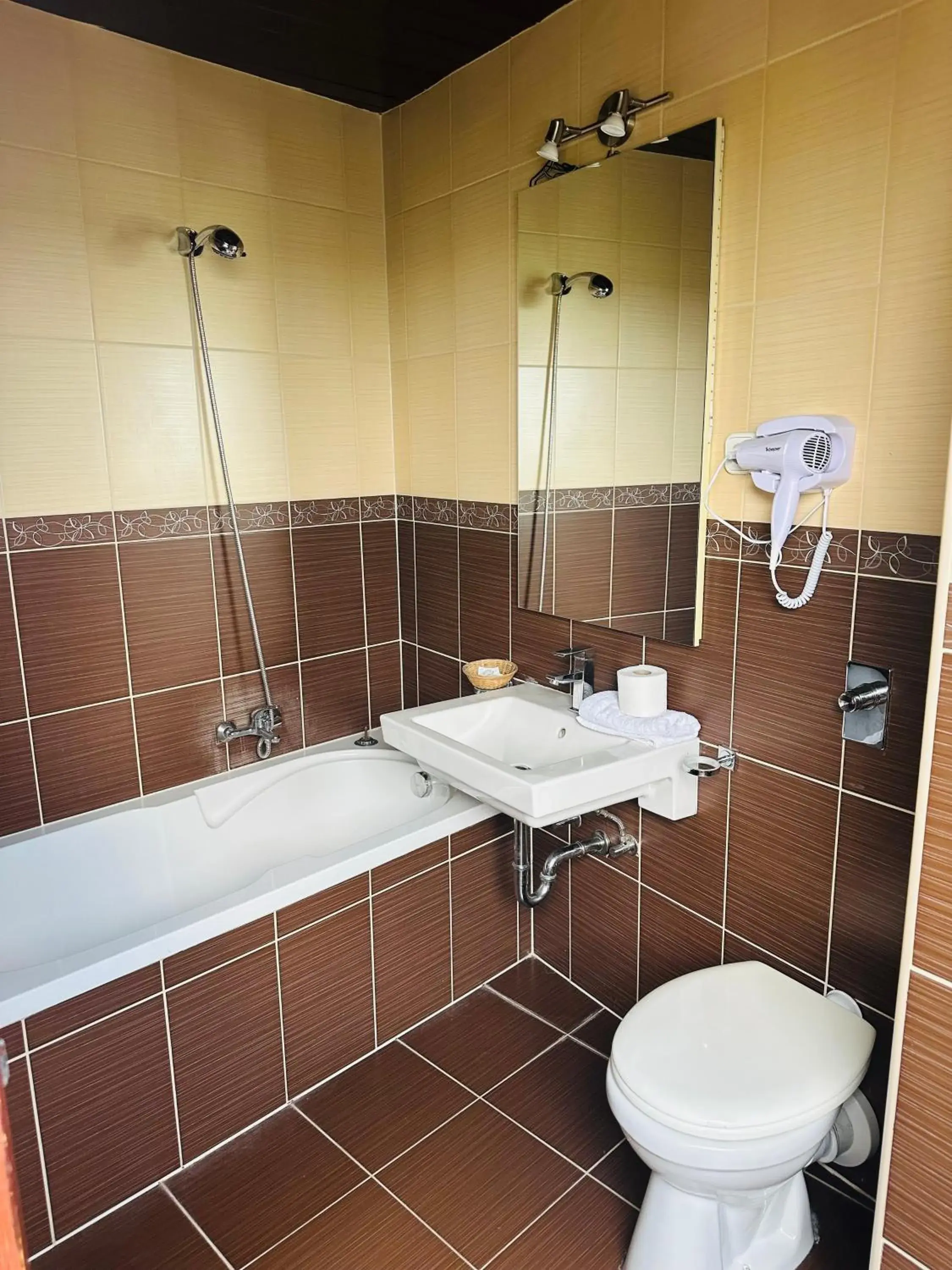 Basic Triple Room - single occupancy in Hotel Amadeus Basic Triple Room - single occupancy in Hotel Amadeus