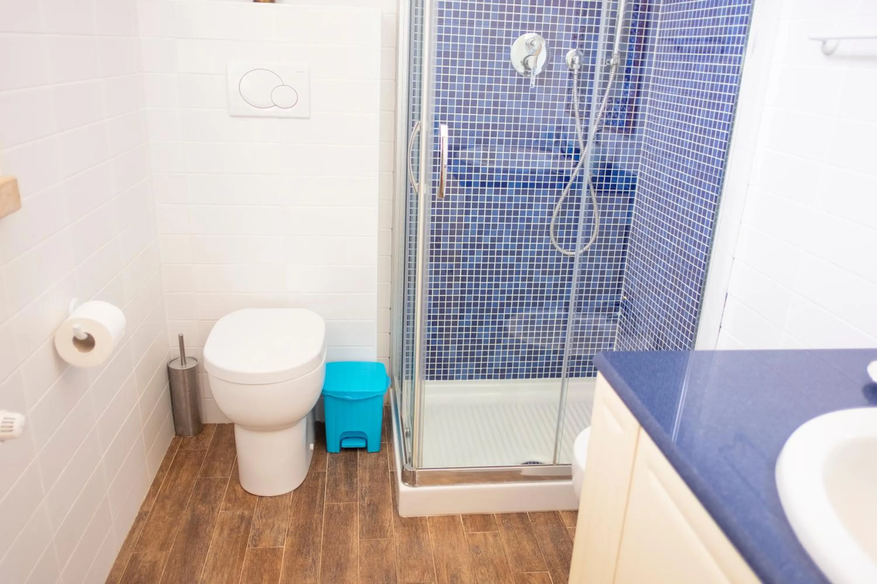 Shower in B&B Anastagi