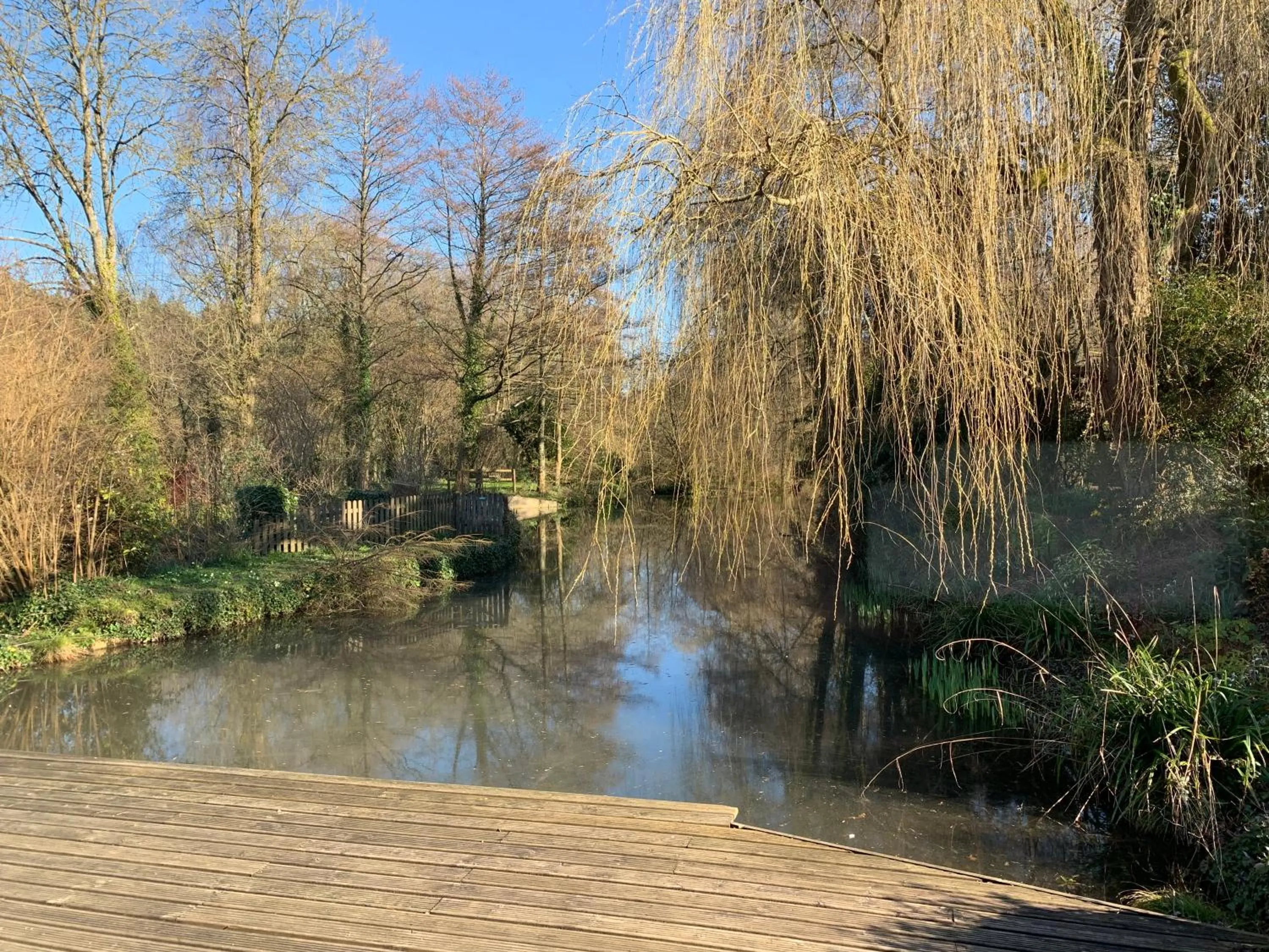 Lake view in Little Norton Mill