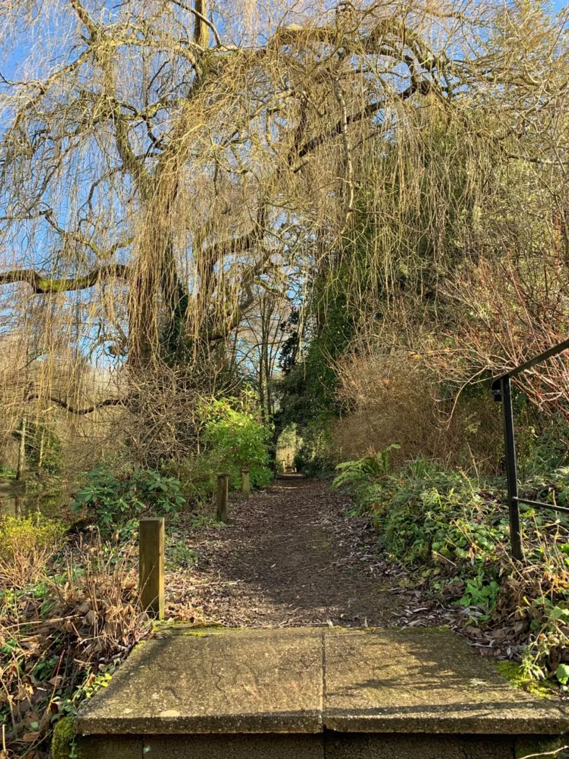 Garden in Little Norton Mill