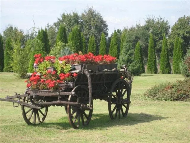 Garden in Barokk Hotel