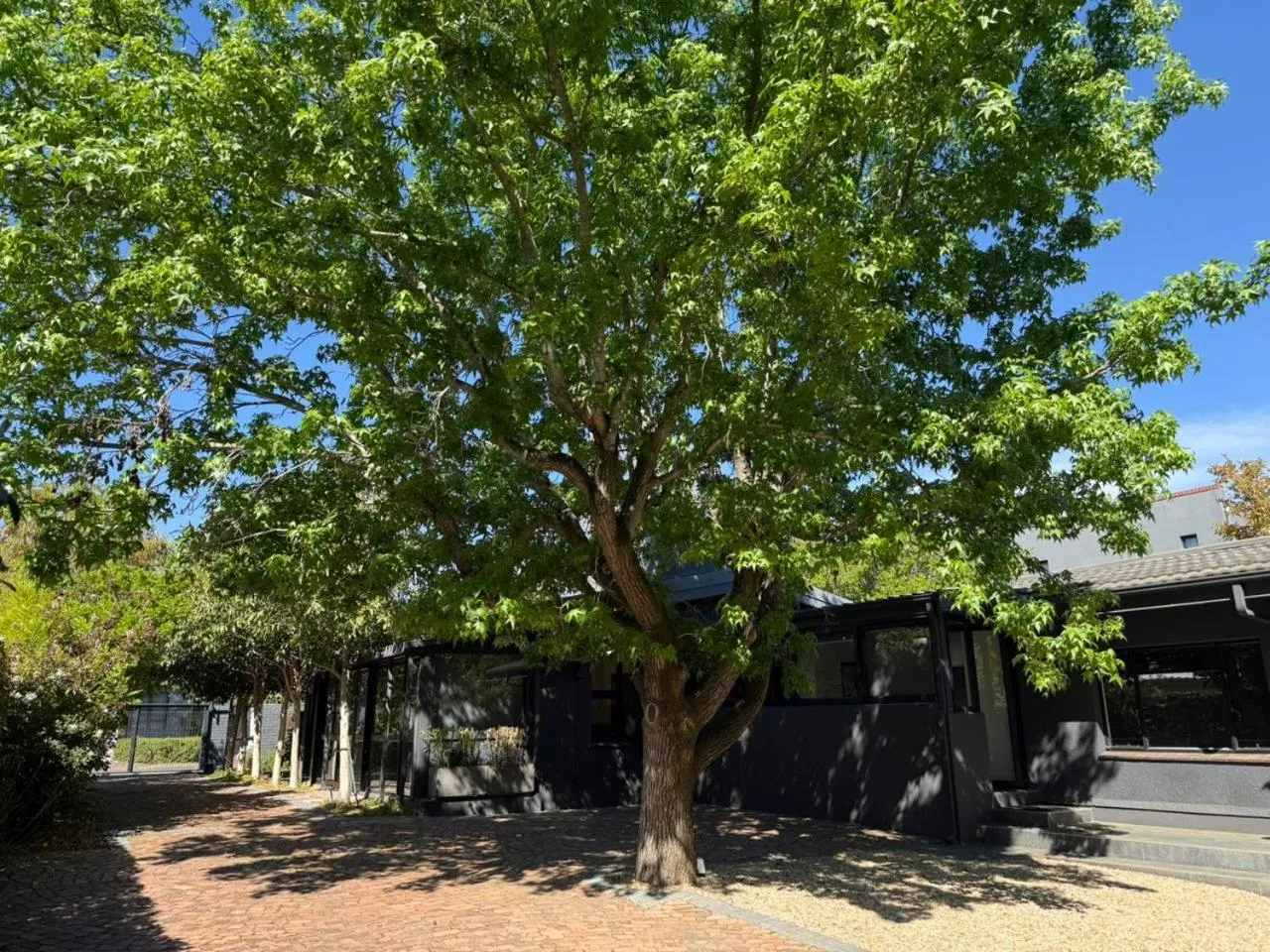 Garden in Twice Central Guest House