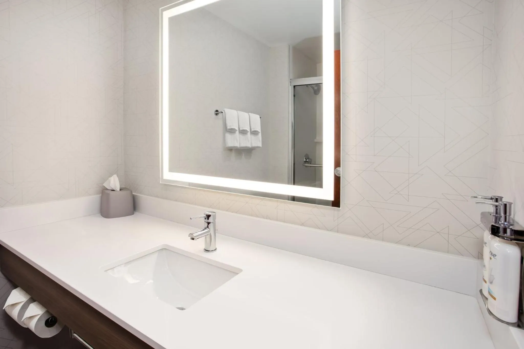 Bathroom in Holiday Inn Express Hotel & Suites - Belleville Area by IHG