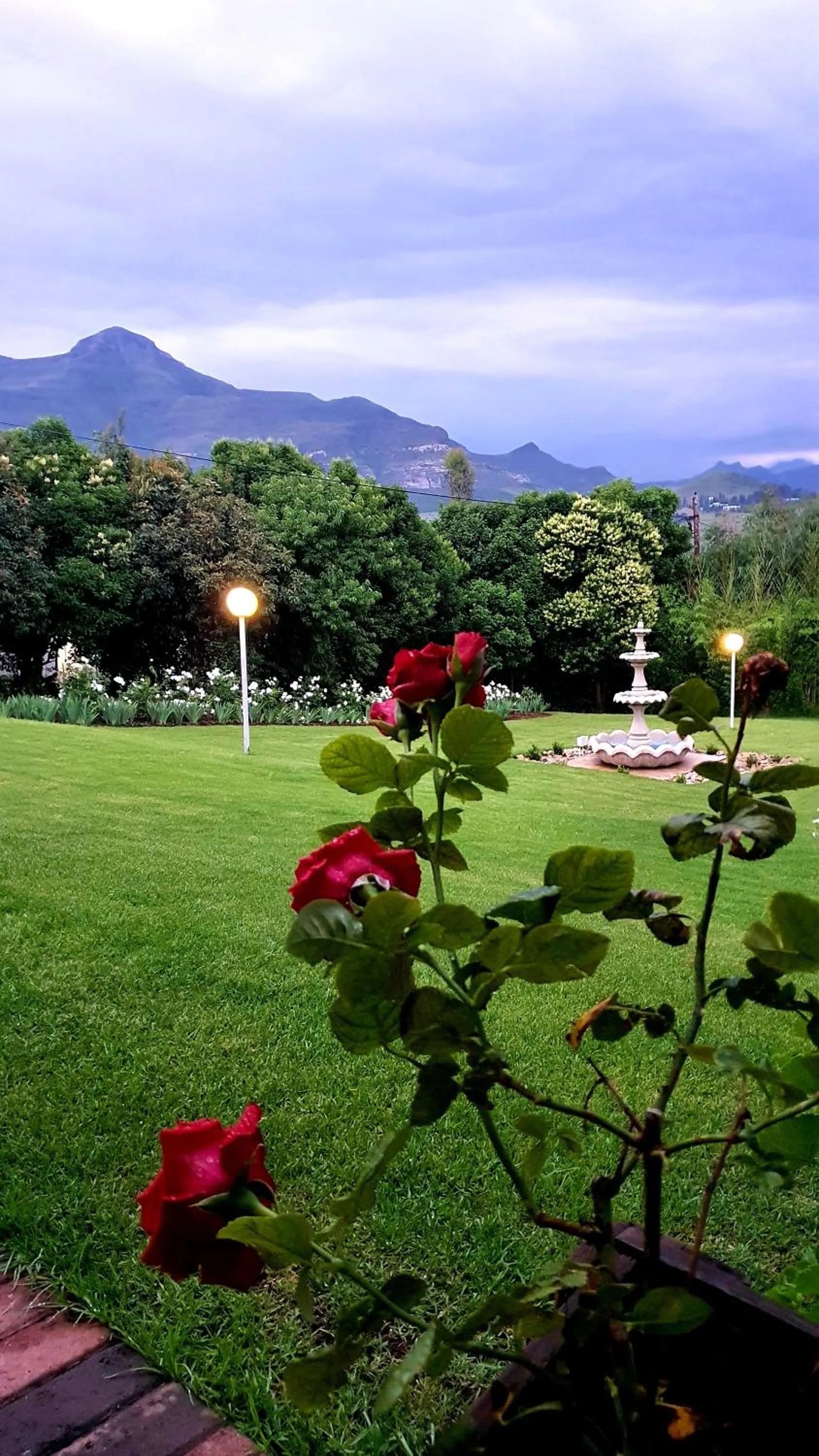 Garden view in Ash River Lodge