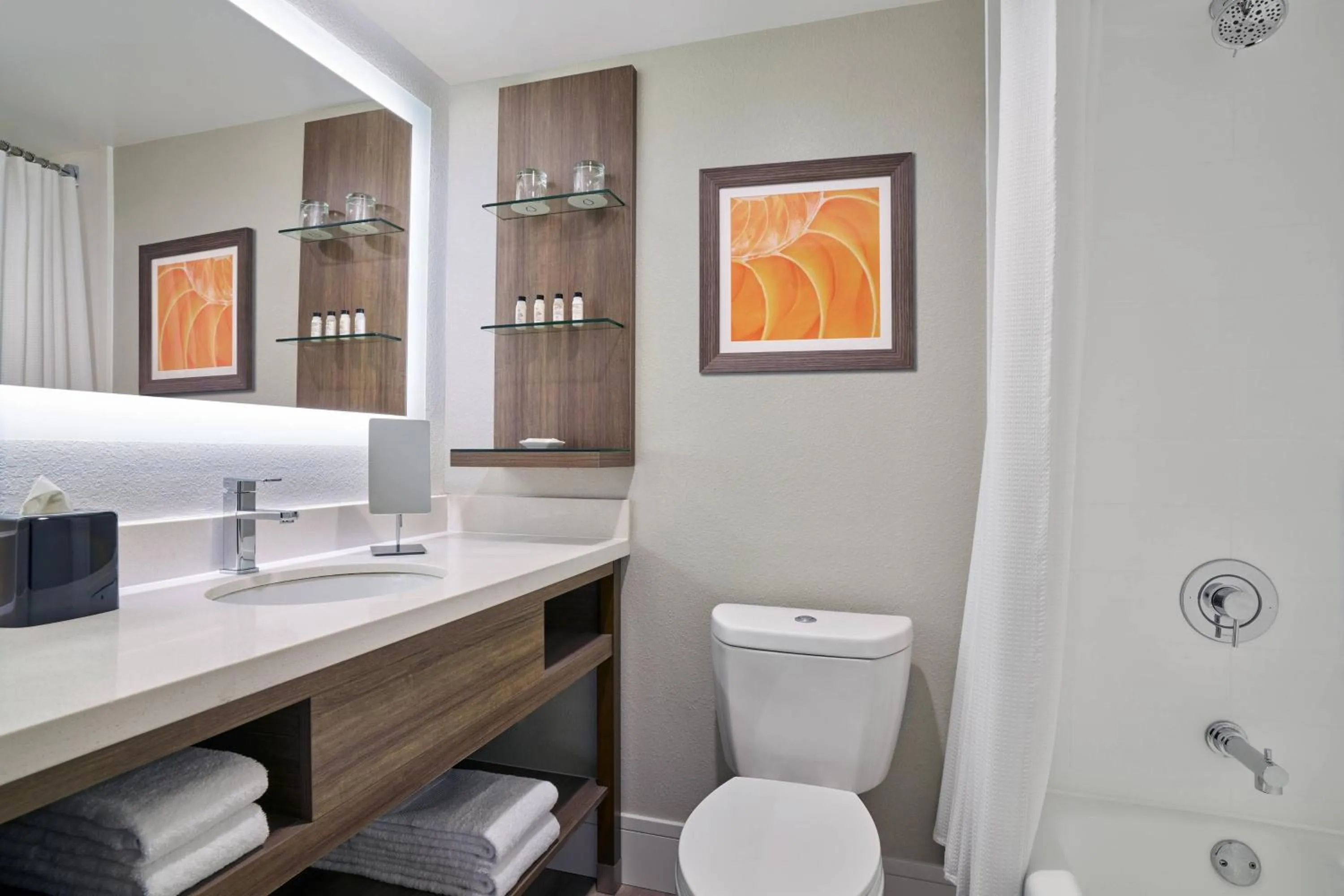 Bathroom in Delta Hotels by Marriott Chicago Willowbrook