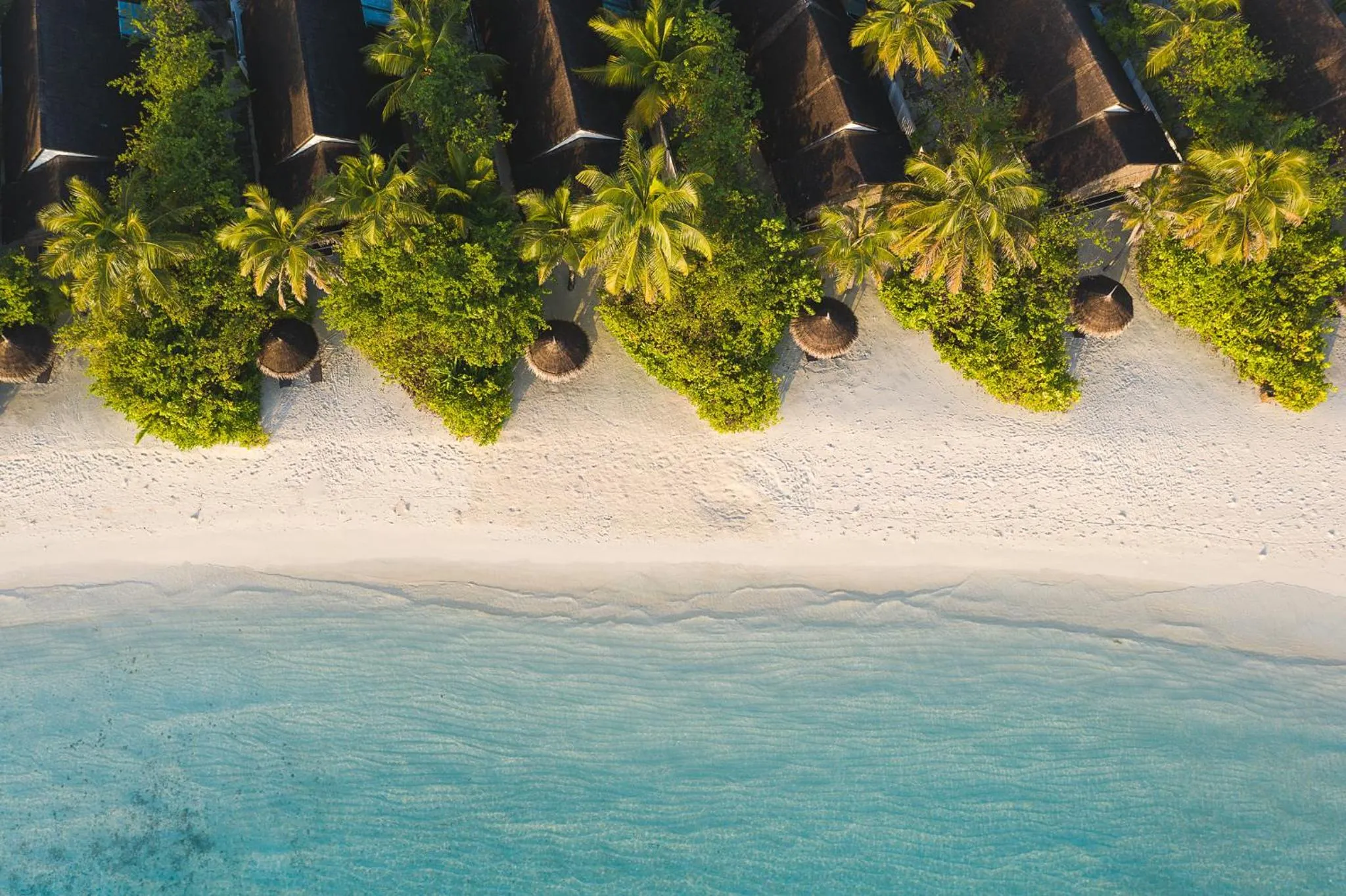 Bird's eye view in OZEN LIFE MAADHOO - Luxury All Inclusive with Free Transfers