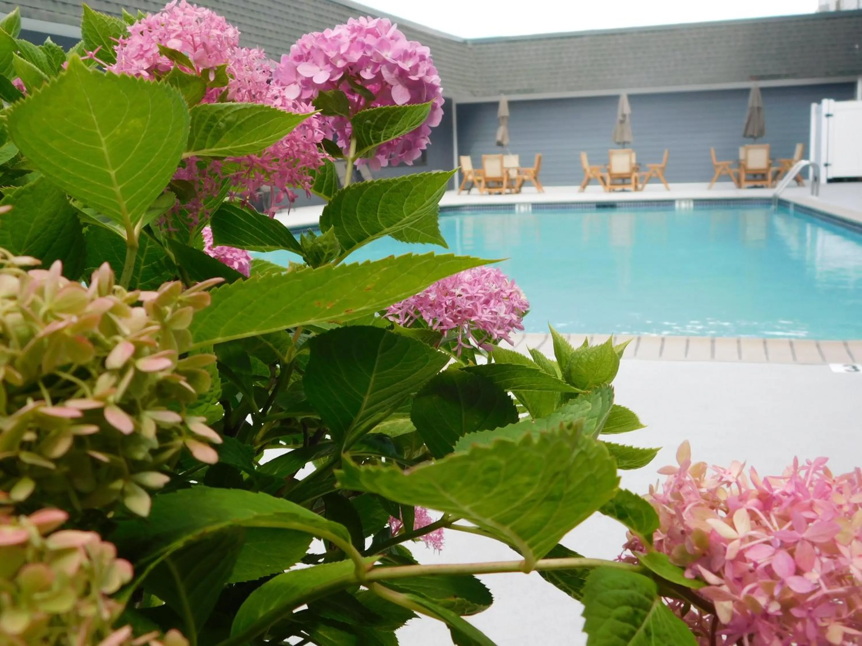 Comfort Inn & Suites Glen Mills - West Chester