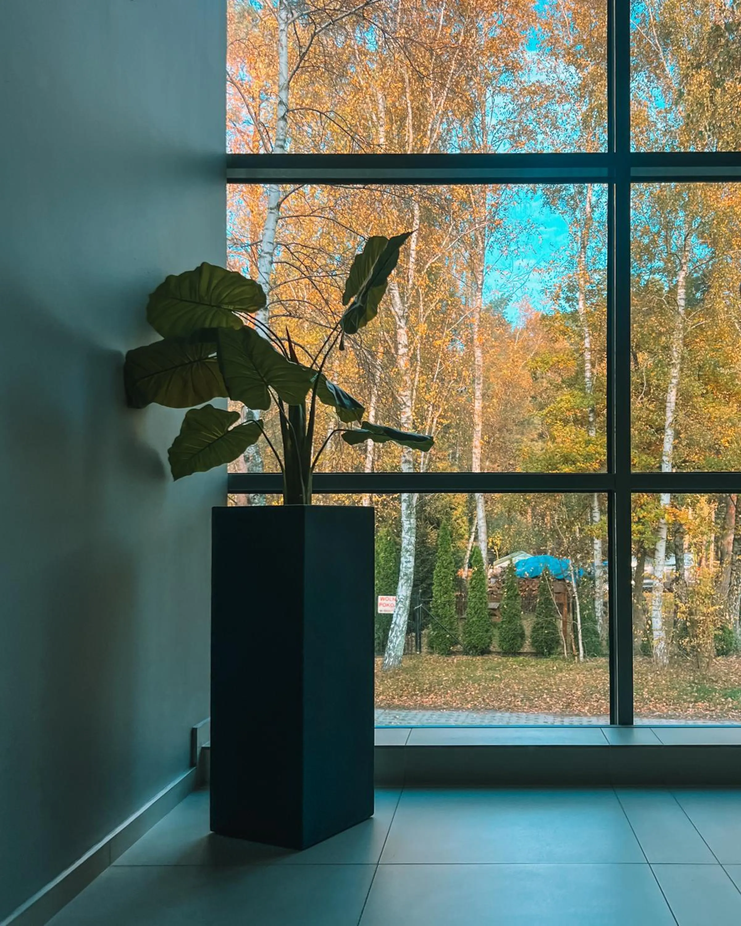 Quiet street view in Rosa Apartamenty
