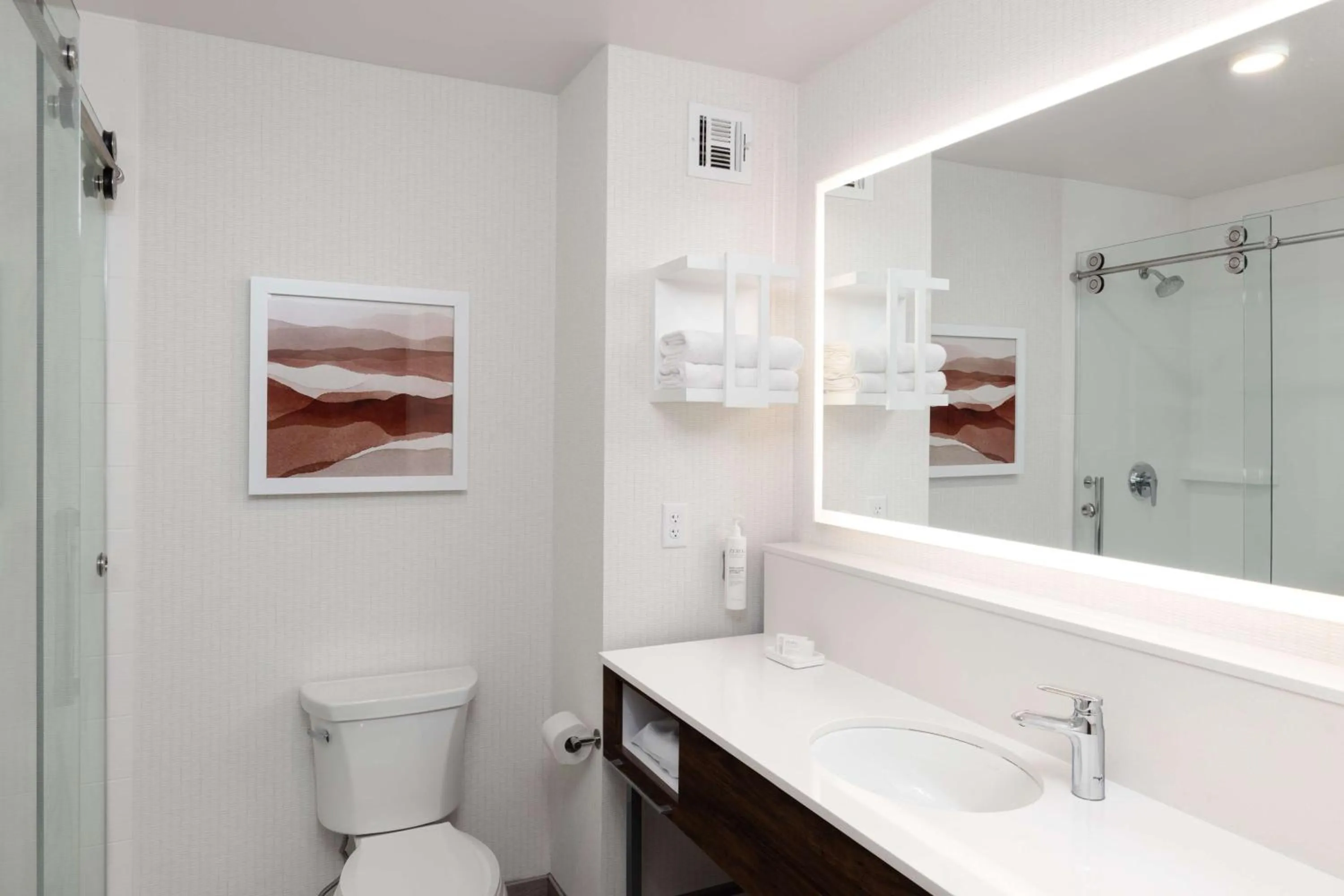 Bathroom in Hampton Inn & Suites Yuba City