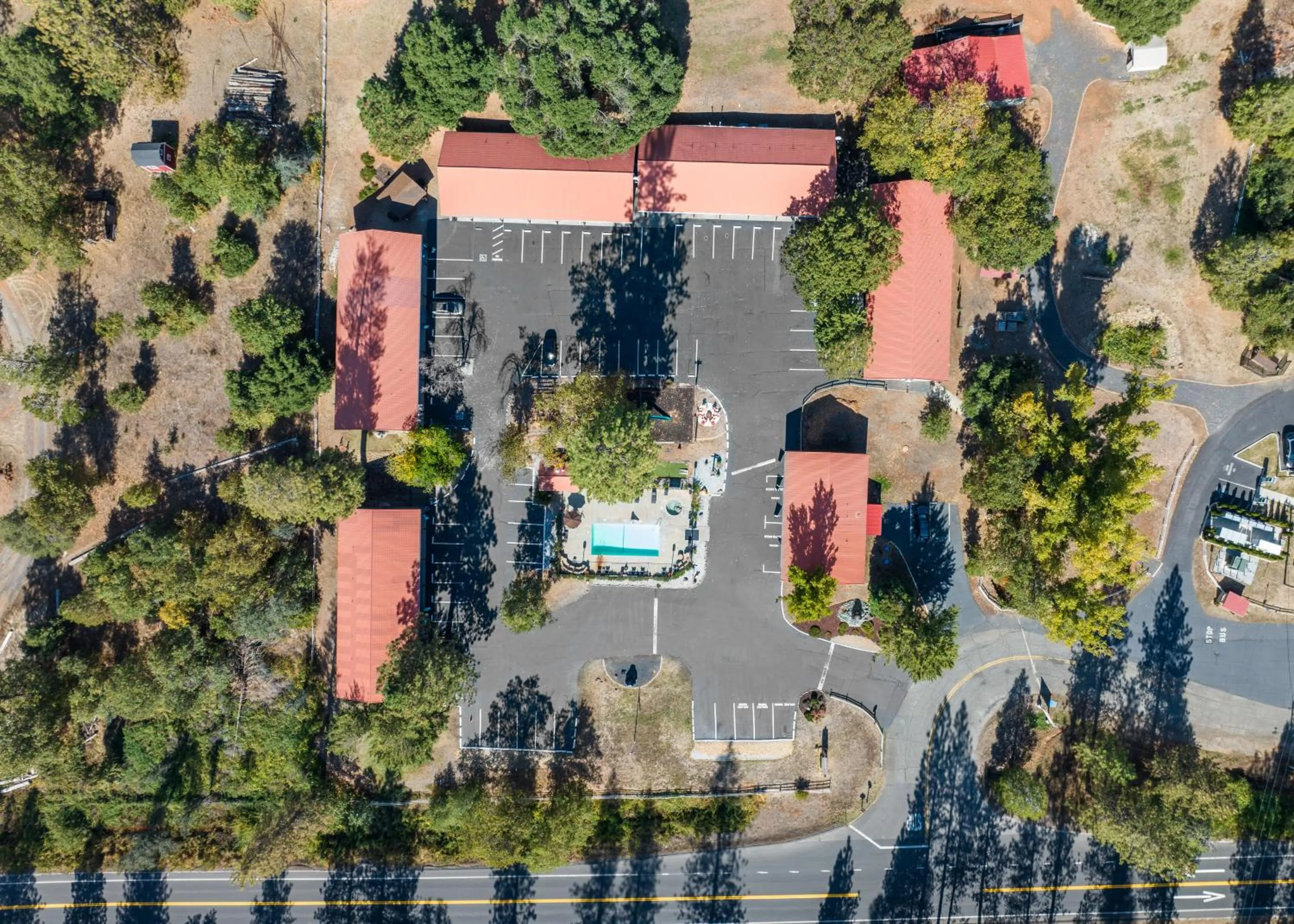 View (from property/room) in Yosemite Westgate Lodge