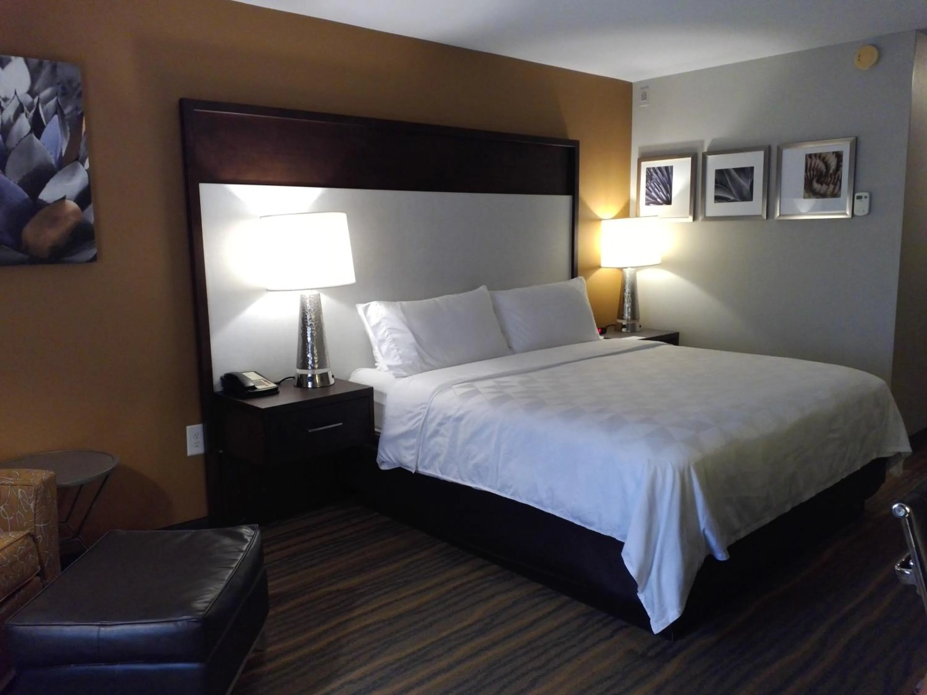 Bedroom, Bed in Holiday Inn & Suites Albuquerque-North I-25 by IHG