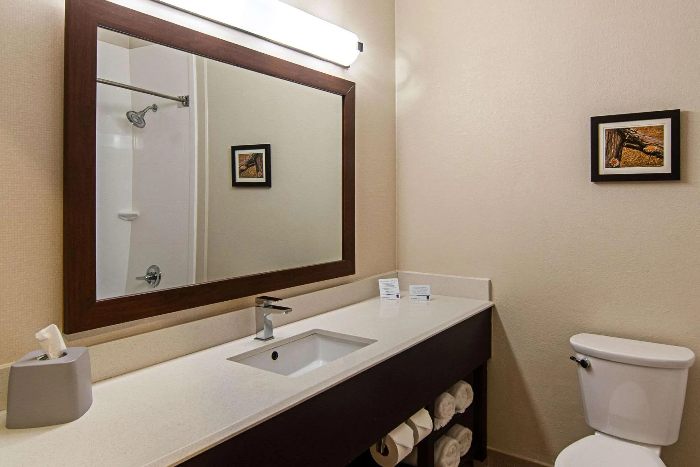 Photo of the whole room in Comfort Suites NW Dallas Near Love Field