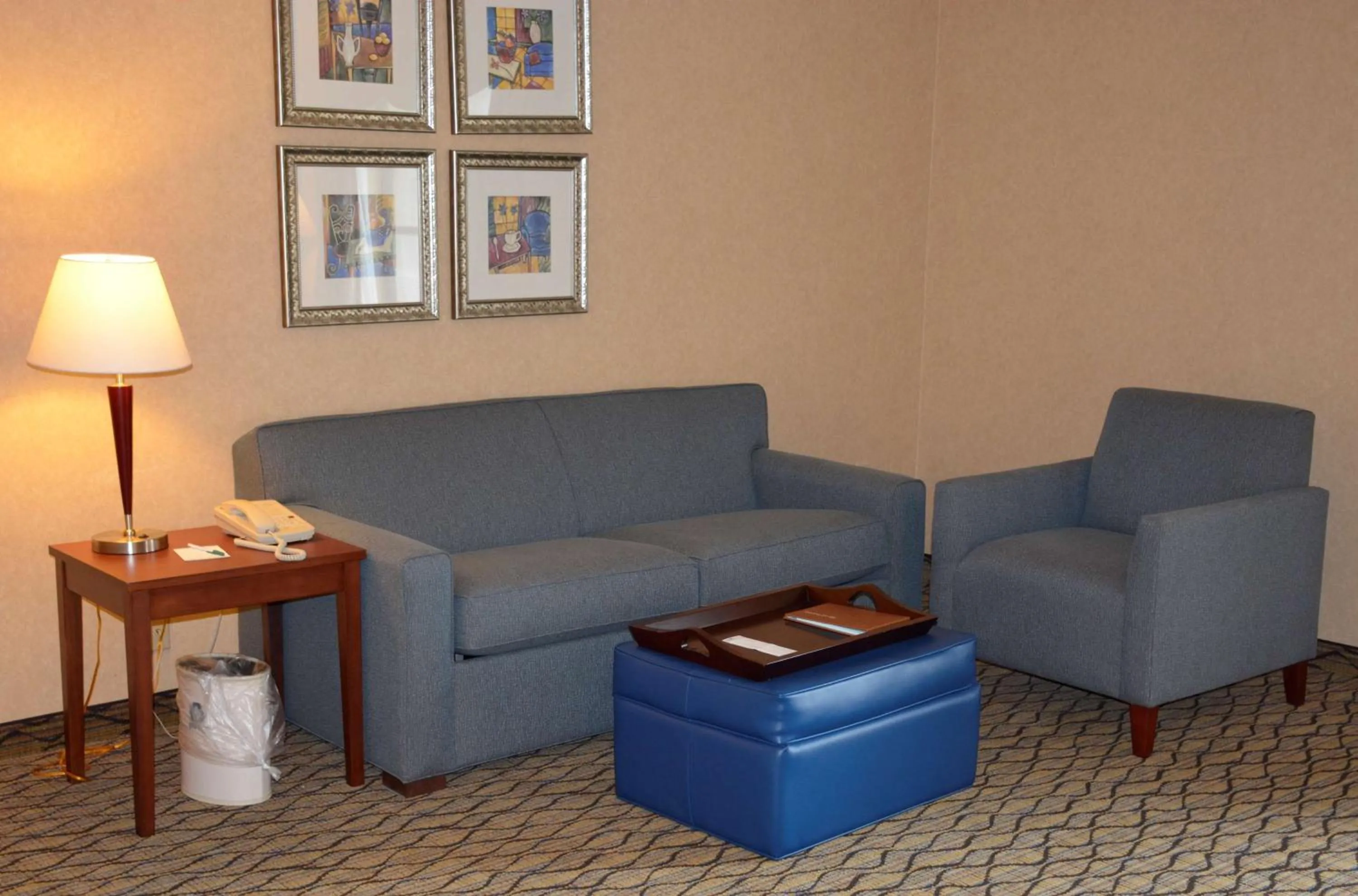 Living room in Homewood Suites by Hilton Brighton