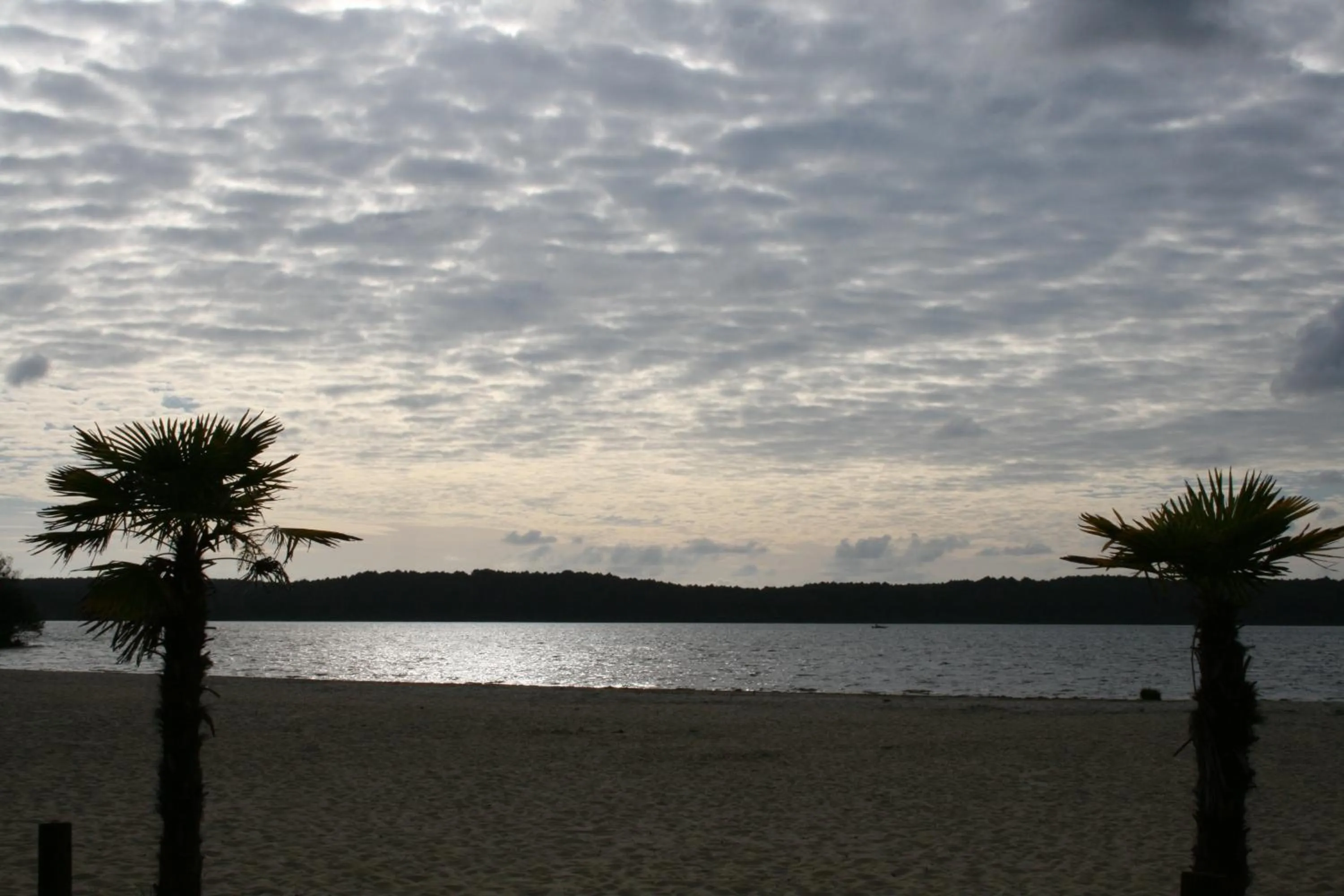 Beach in Rêve en Famille