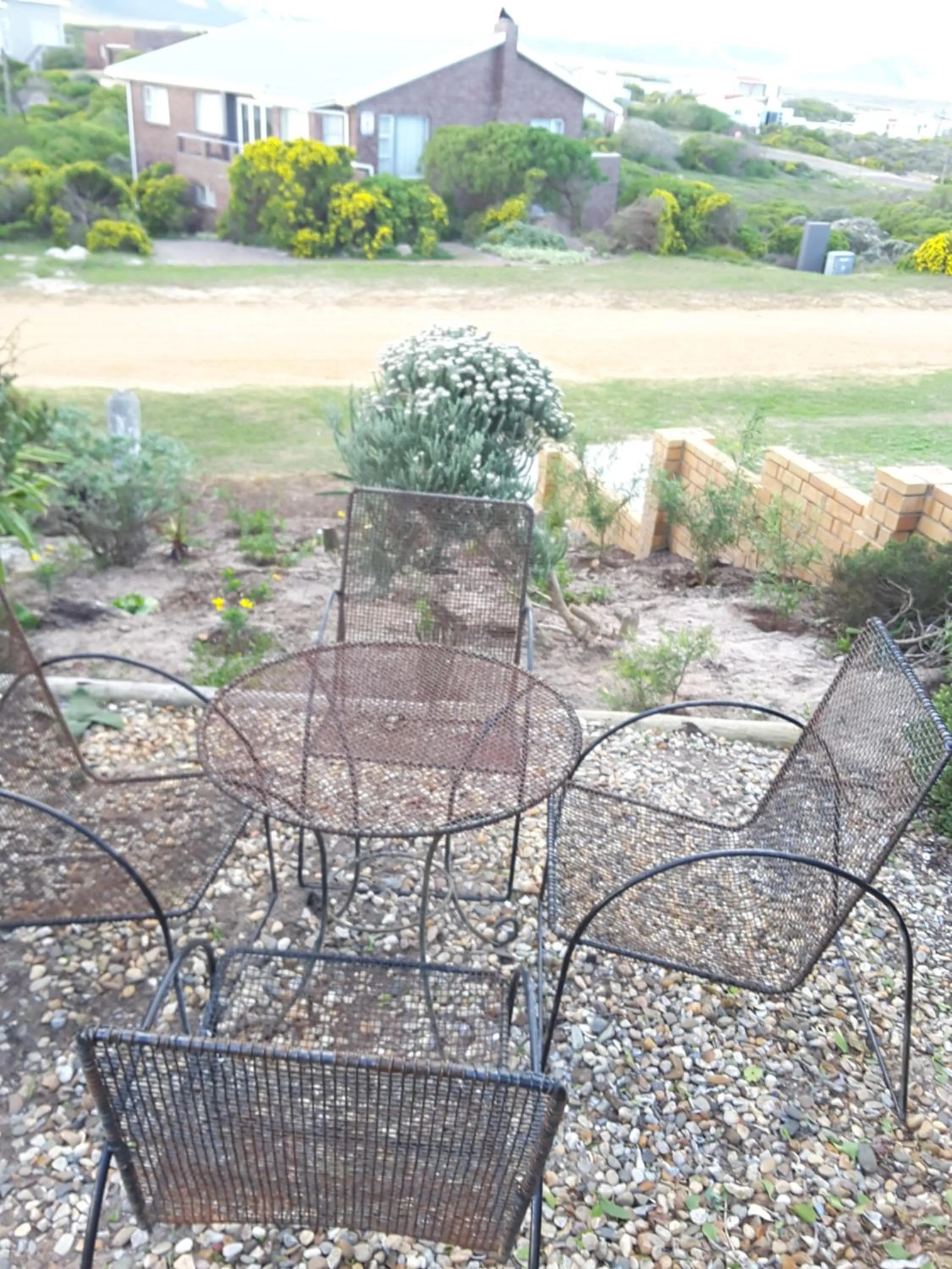 Garden in The-Ark B&B