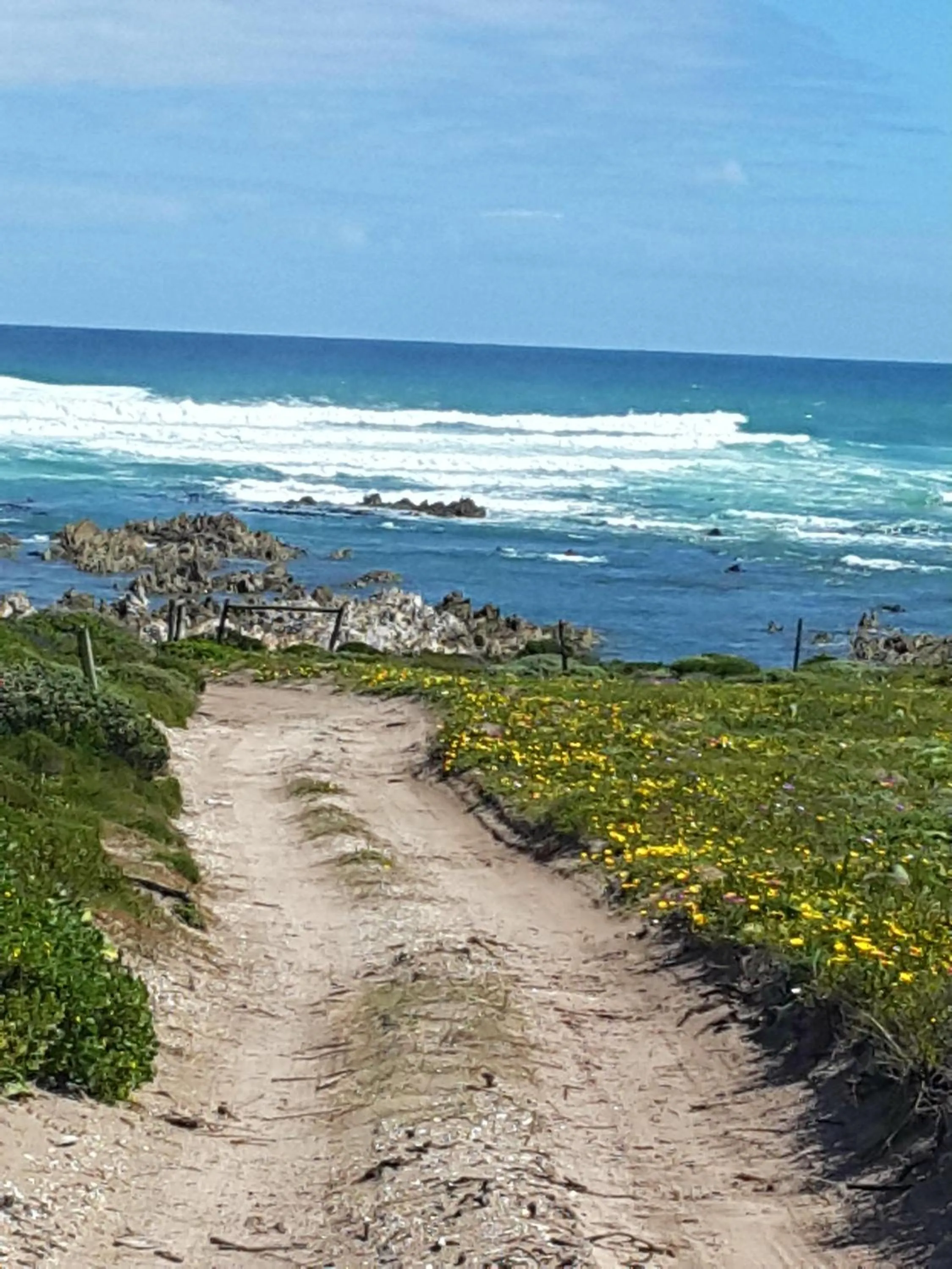 Activities in The-Ark B&B