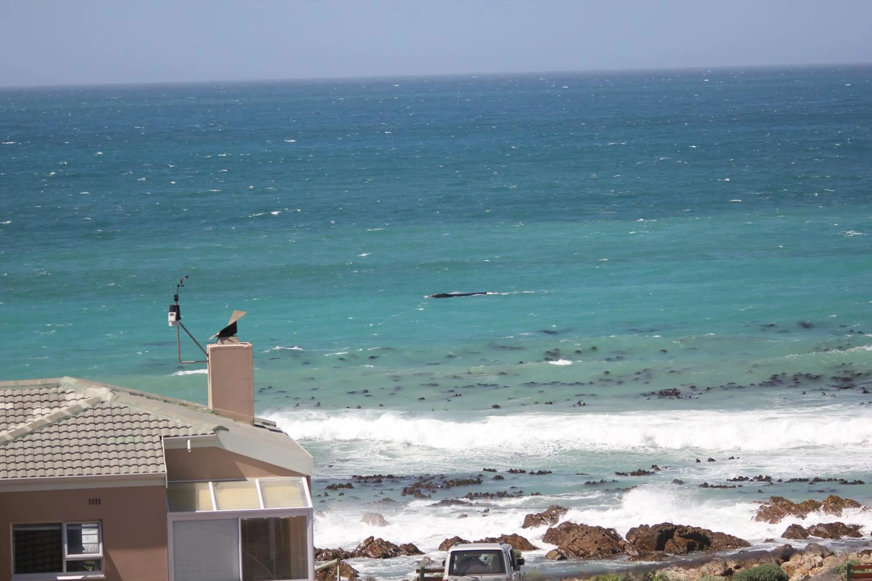 Activities in The-Ark B&B