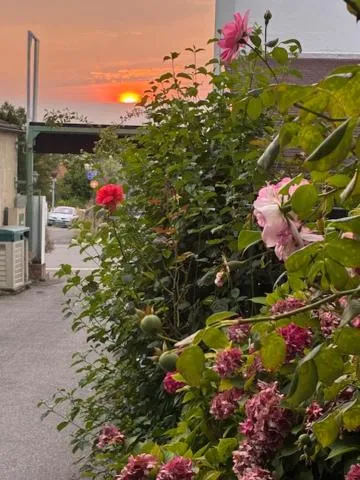 Aerotel Versailles Saint Cyr - L'étape du Silence