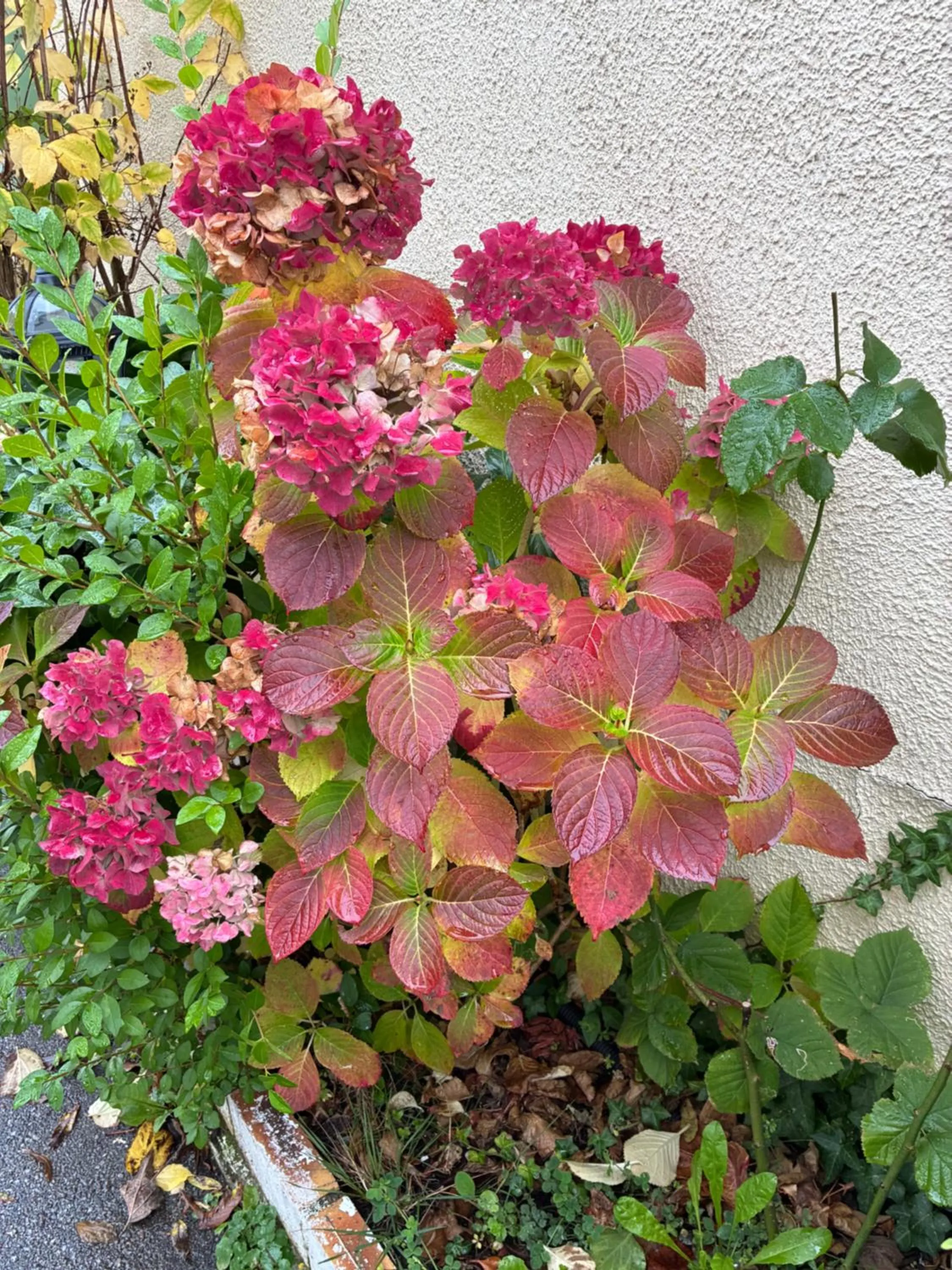 Aerotel Versailles Saint Cyr - L'étape du Silence