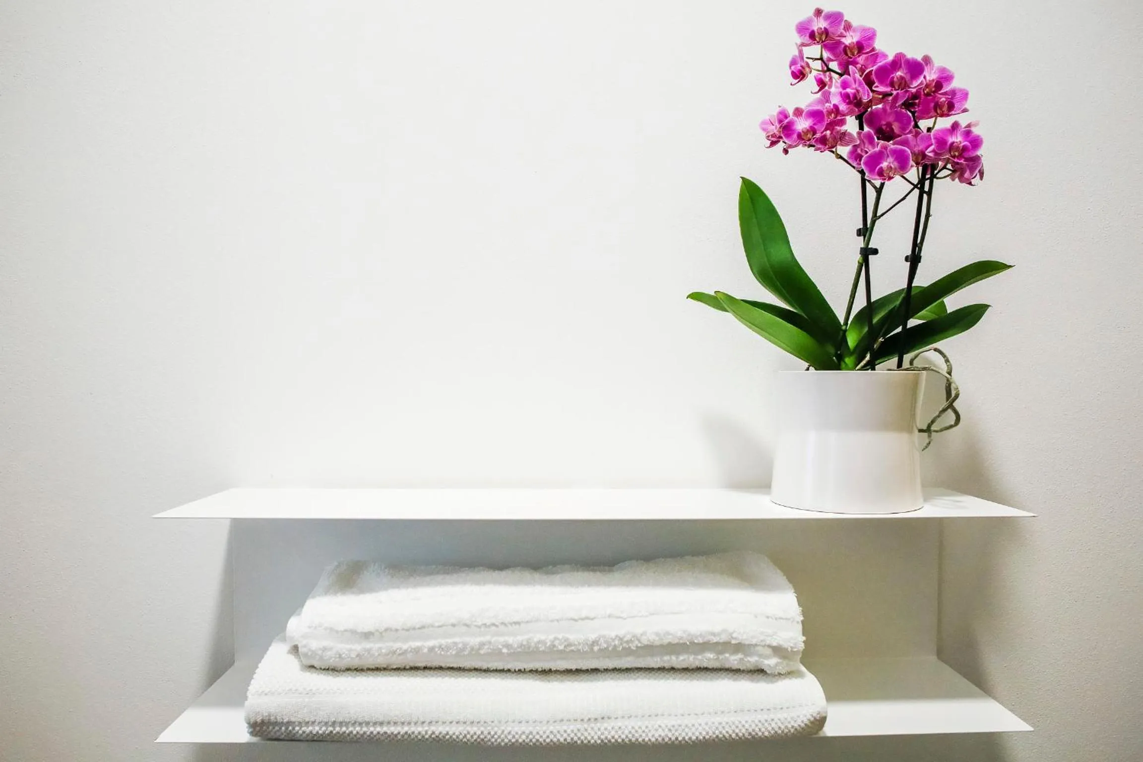 B&B WarmUp Grosseto - Parcheggio incluso nella corte interna