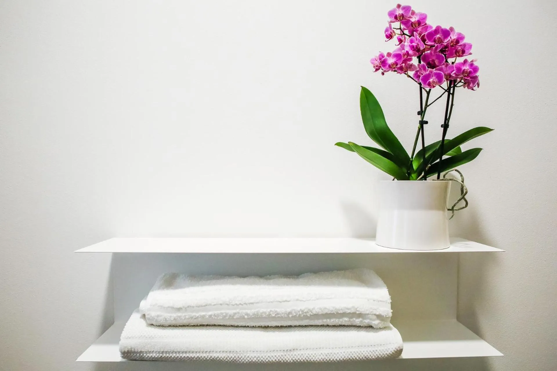 Other in B&B WarmUp Grosseto - Parcheggio incluso nella corte interna