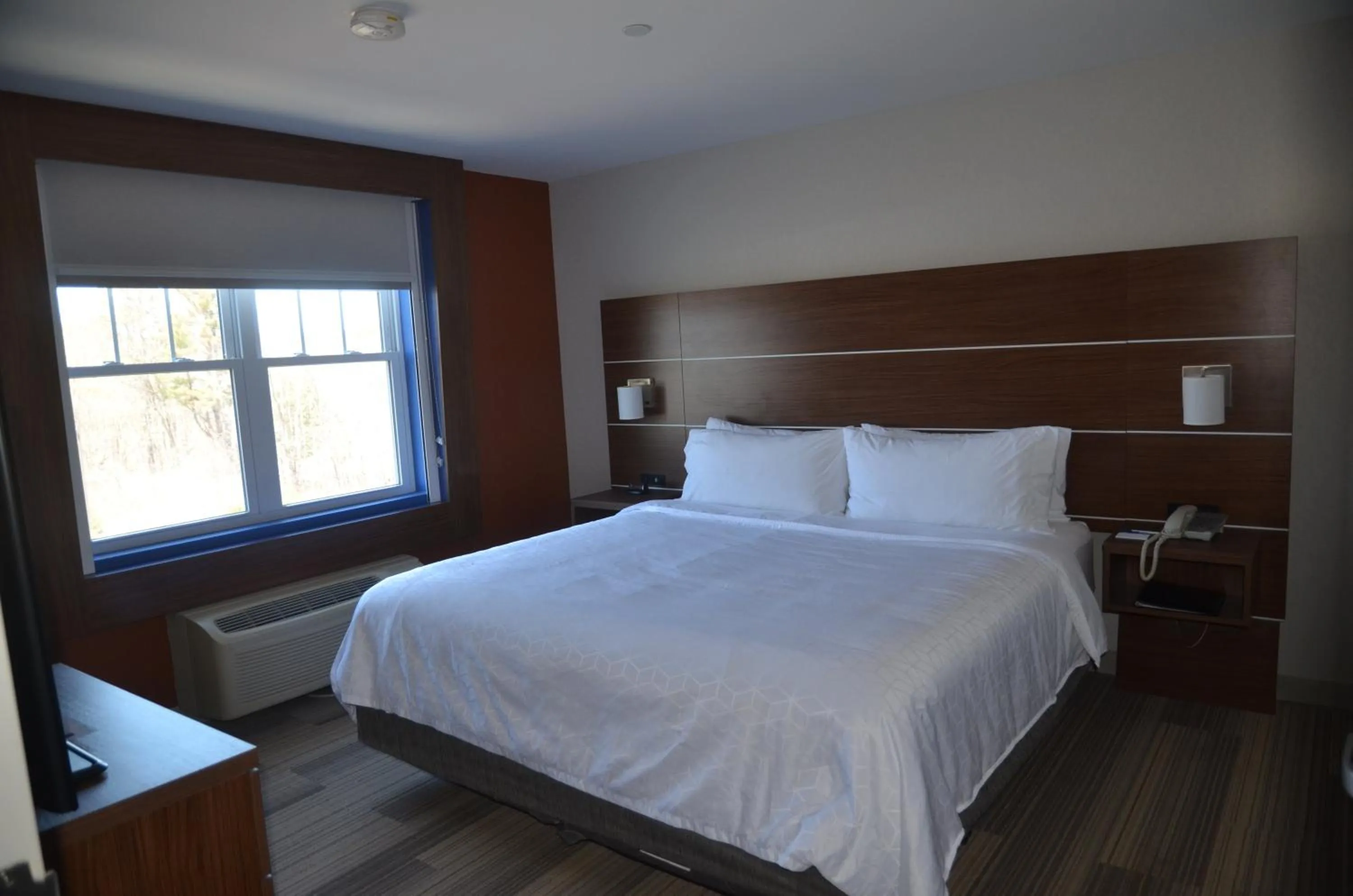 Photo of the whole room, Bed in Holiday Inn Express Hotel & Suites Rochester by IHG