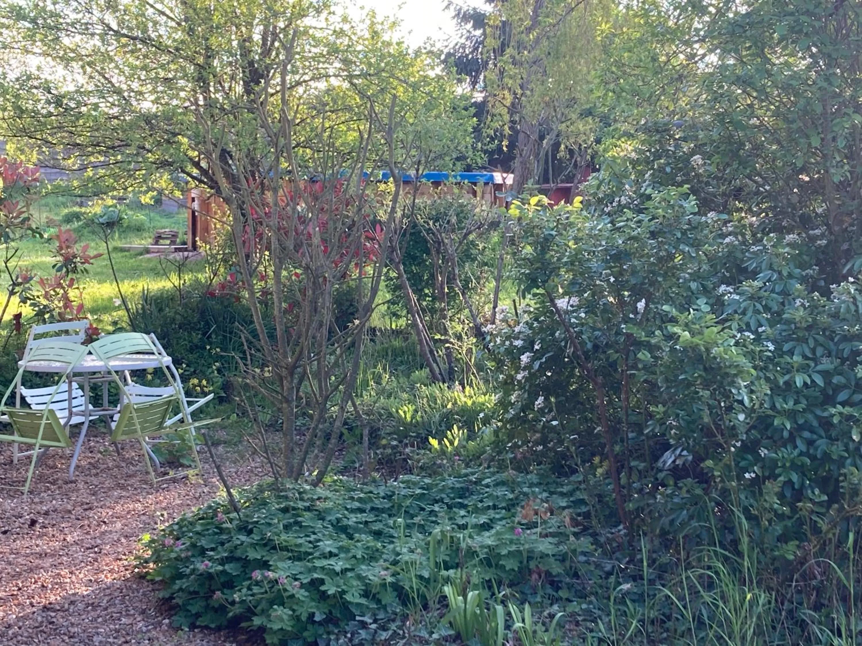 Spring in Chambres d'hôtes La Ferme du Grand Launay