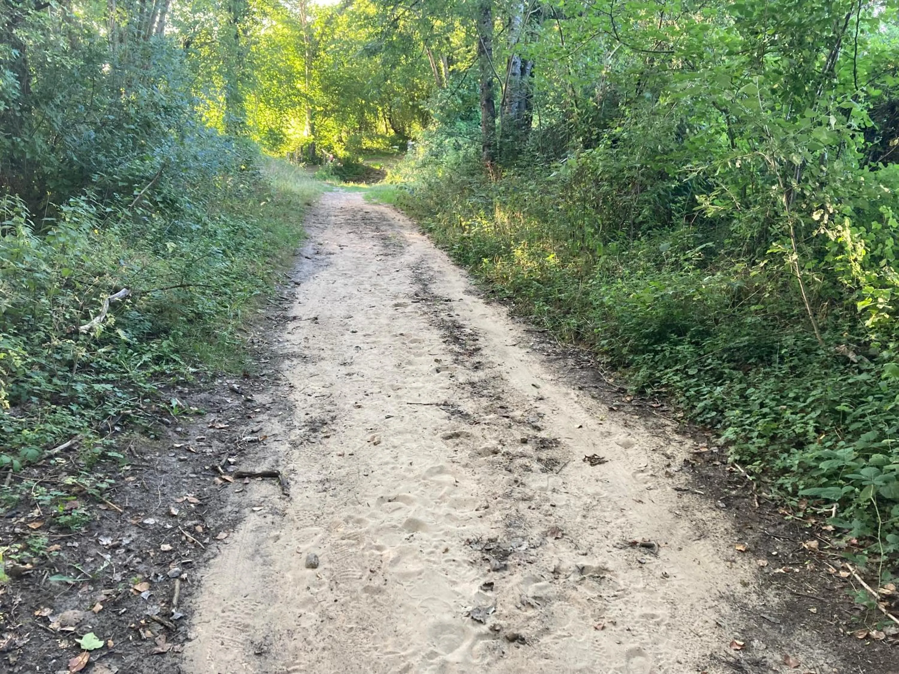 Spring in Chambres d'hôtes La Ferme du Grand Launay