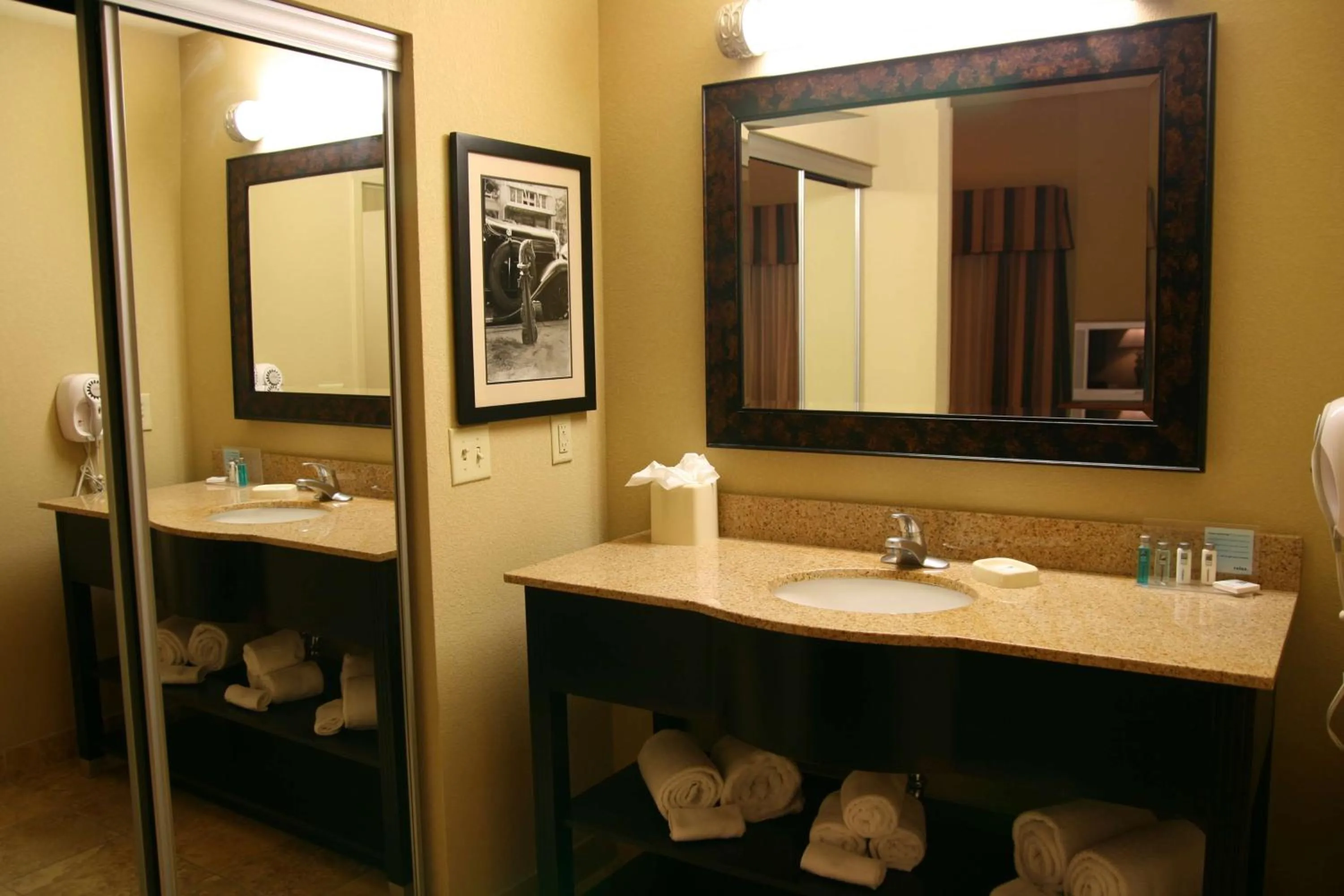 Bathroom in Hampton Inn & Suites Mobile Providence Park/Airport