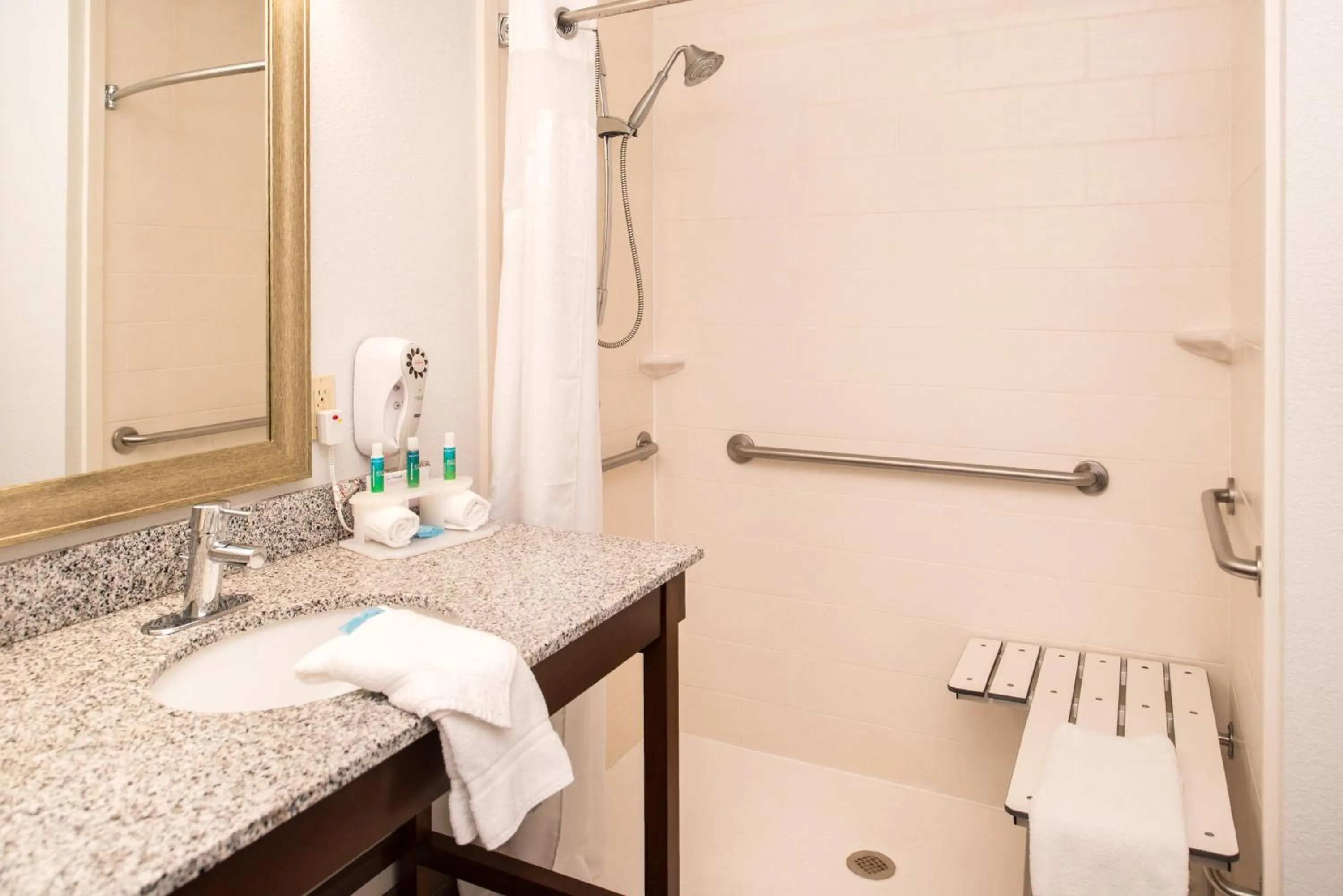 Bathroom in Holiday Inn Express & Suites Alamogordo Highway 54/70 by IHG