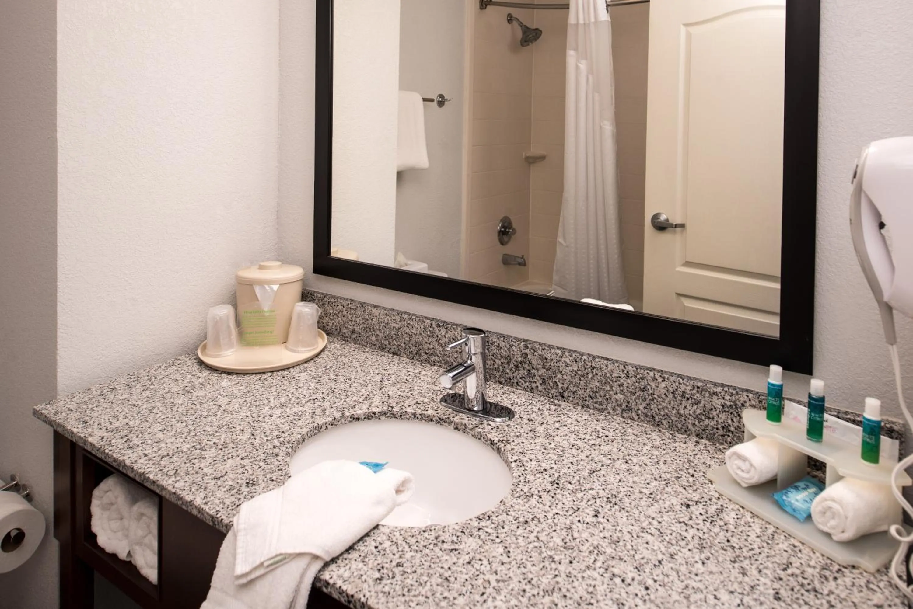 Bathroom in Holiday Inn Express & Suites Alamogordo Highway 54/70 by IHG